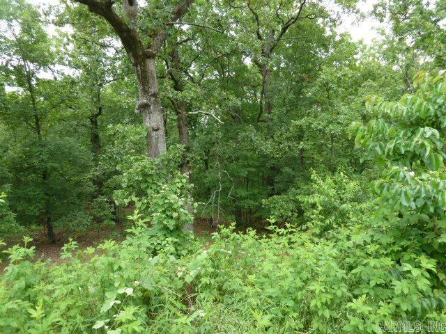 Wild Wood - Land