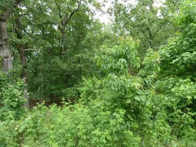 Wild Wood - Land