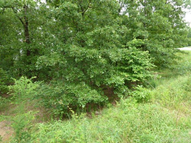 Wild Wood - Land