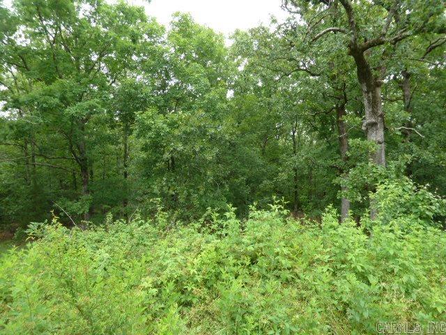Wild Wood - Land