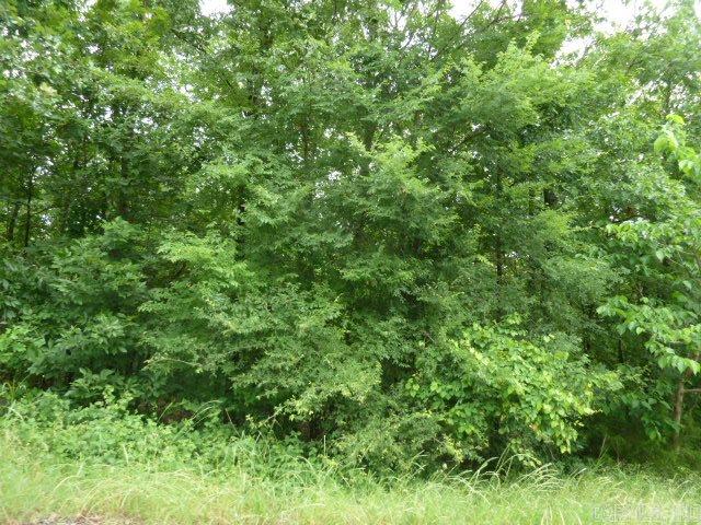 Wild Wood - Land