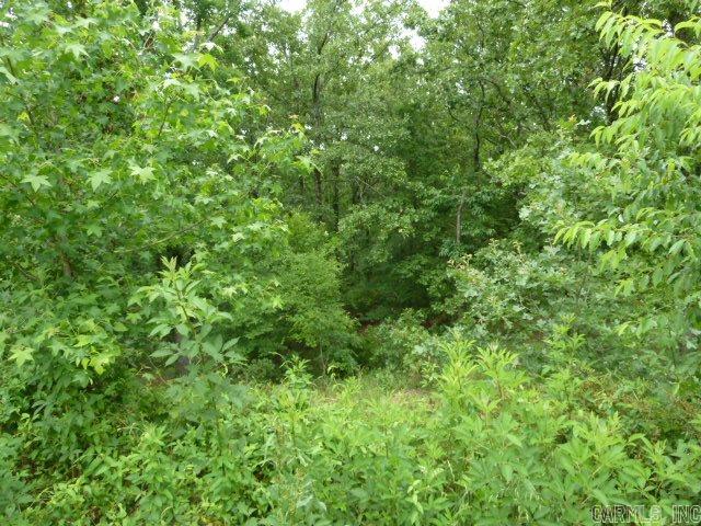 Wild Wood - Land