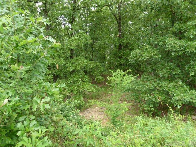 Wild Wood - Land