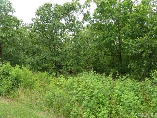 Wild Wood - Land