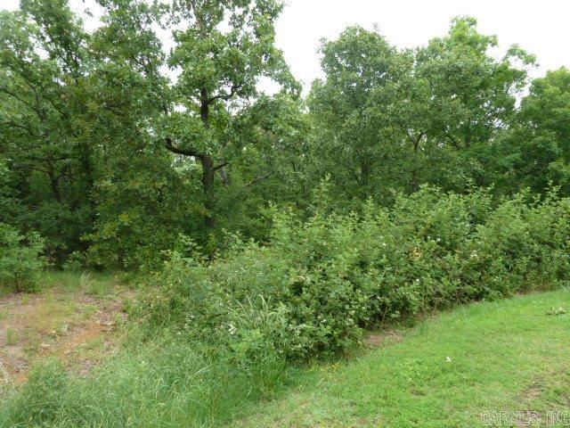 Wild Wood - Land