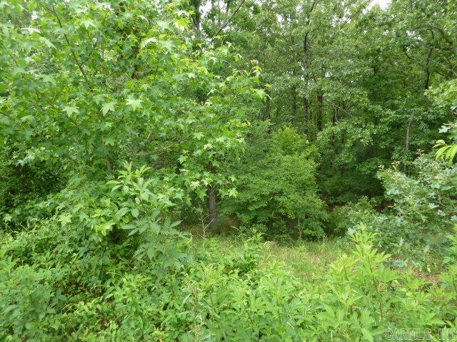 Wild Wood - Land