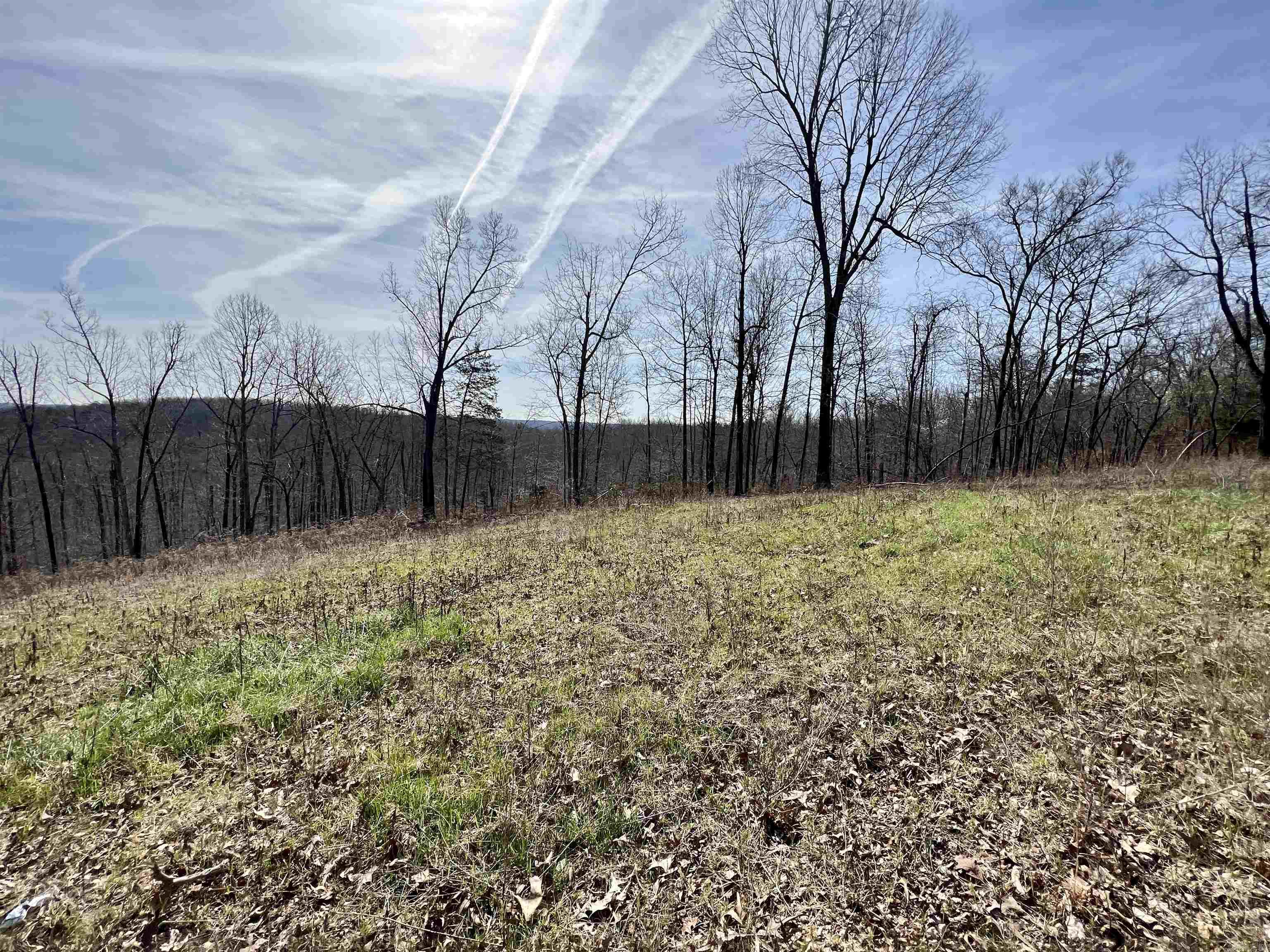 11acres m/L located along Searcy county line.  Less than 2 miles from Buffalo river access.  Power along road at property.  Great Southern facing site to build.