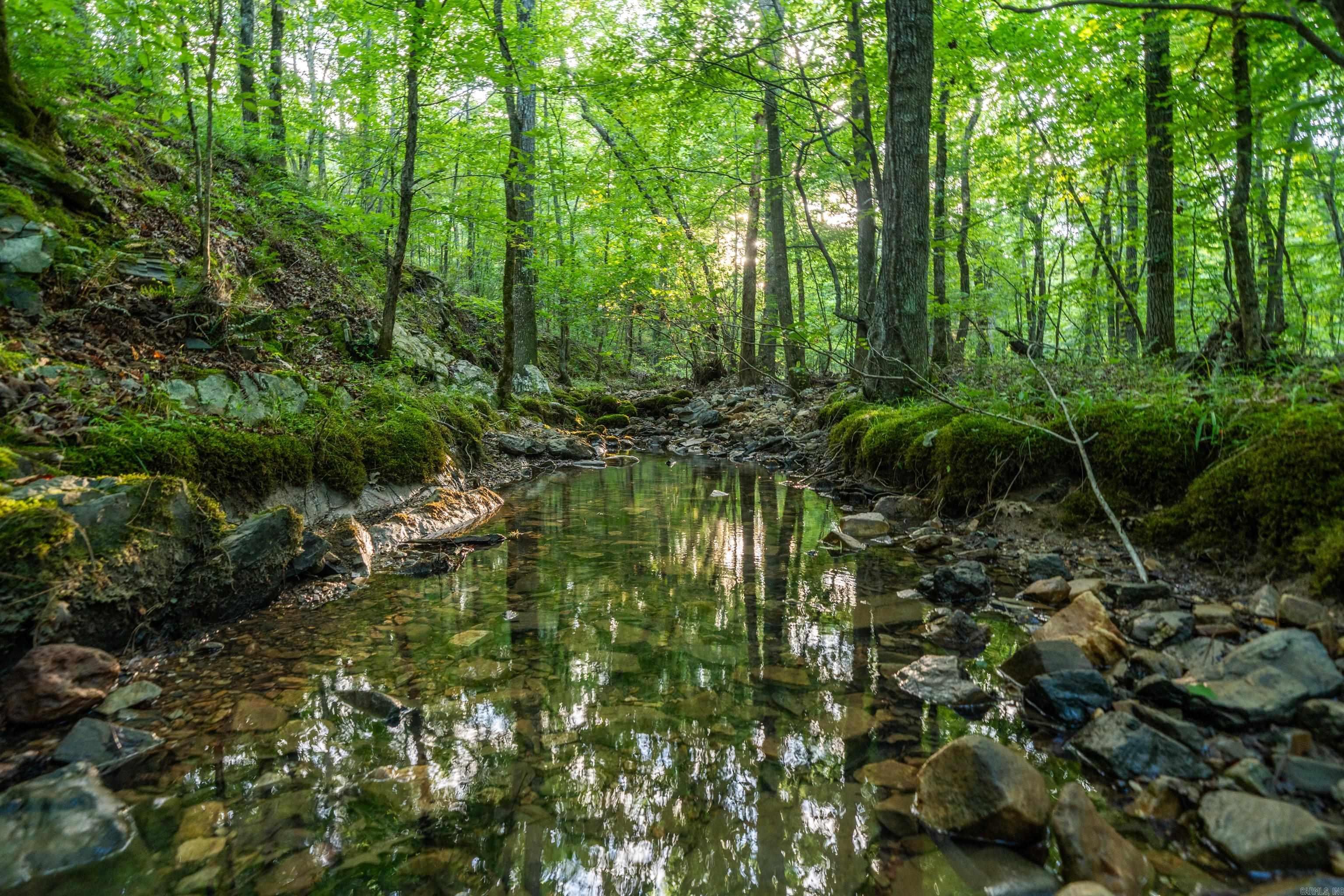 Lake Hamilton Outside - Land