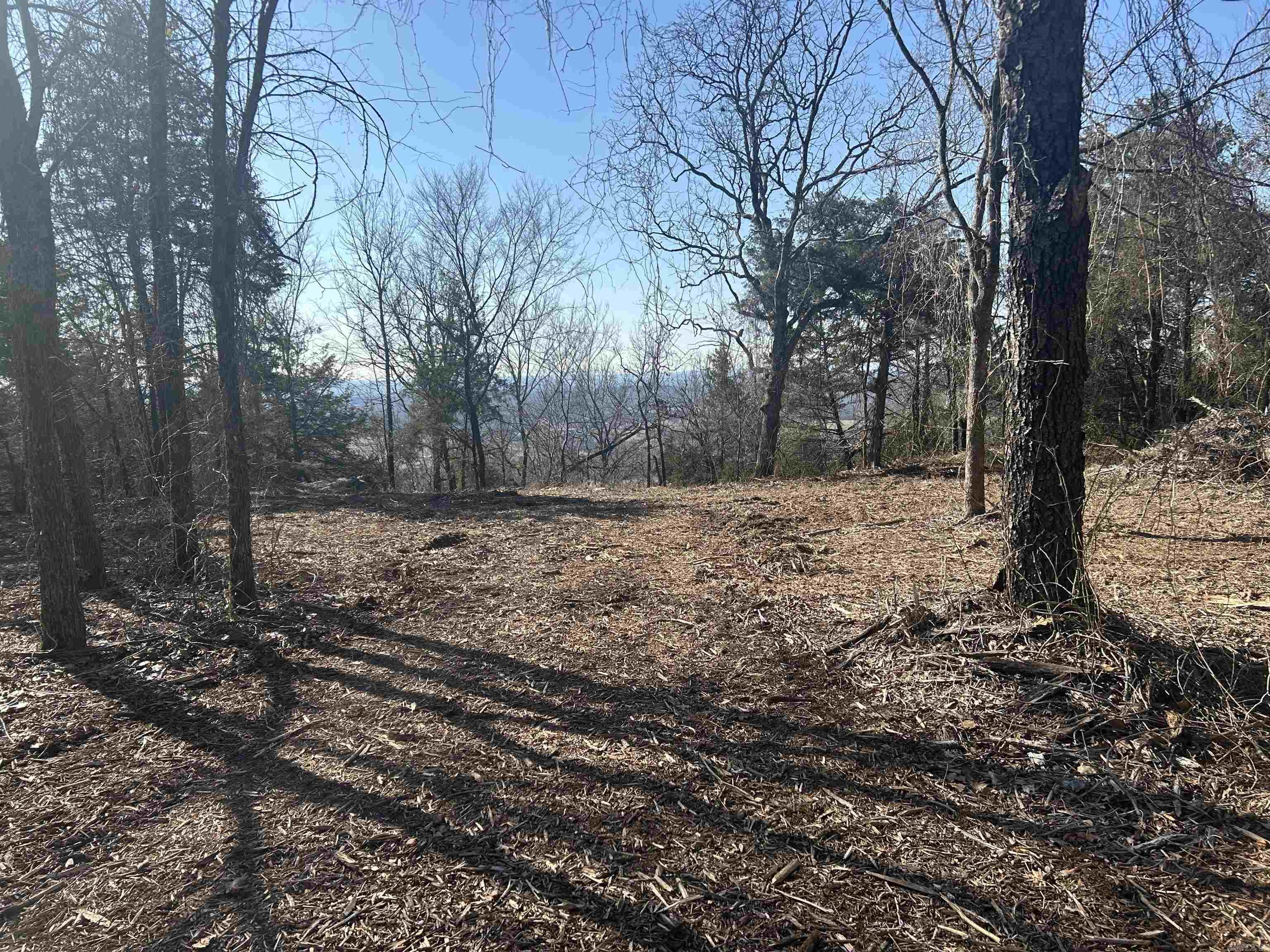 PRICE ADJUSTMENT!!!!! **Exceptional Bluff View Vacant Land - 5 Acres of Possibilities!** Discover the perfect canvas for your dream home on this stunning 5-acre parcel of surveyed land, offering breathtaking bluff views and the freedom to design exactly what you envision—free of restrictions! Embrace the tranquility of nature while enjoying the convenience of nearby amenities. This idyllic location is ideal for those seeking a private retreat or an opportunity for investment. With ample space to build and explore, you can create your sanctuary, complete with picturesque vistas and endless possibilities. Don't miss this rare opportunity to own your piece of paradise. Seize the chance to transform your dreams into reality! Contact us today for more details.  Please see drone footage in "virtual tour" section.