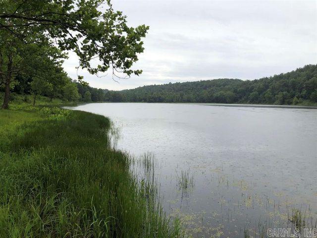 Here’s your chance to own your very own hunting and fishing paradise! This stunning 28± acre property offers direct access to the West Fork Point Remove Watershed, a rare find. It has previously been used as a hunting club.