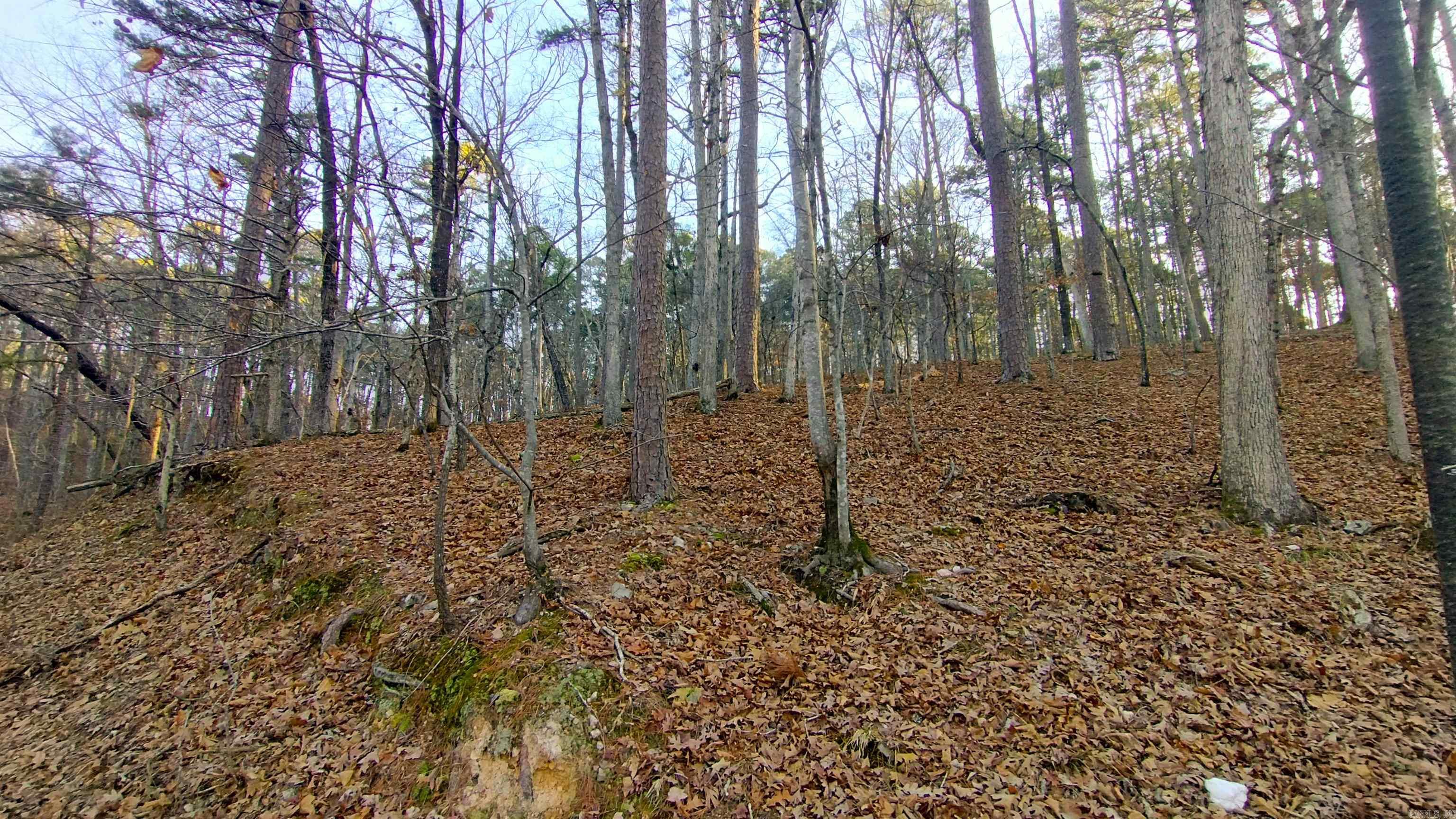 Empinado - Land