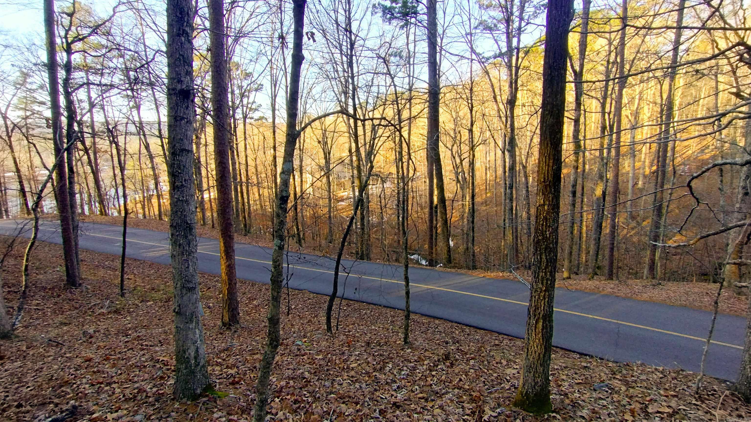 Discover the perfect opportunity to own a premium homesite in the sought-after, gated community of Hot Springs Village. Tucked away in the Empinado subdivision, this impressive one-plus-acre wooded lot offers a peaceful, private setting across the way from Lake Cortez. Surrounded by natural beauty and upscale homes, it’s an ideal canvas for creating a custom vacation retreat or an elegant retirement residence in one of the area’s desirable locations. Call (501) 545-8680 for a private showing