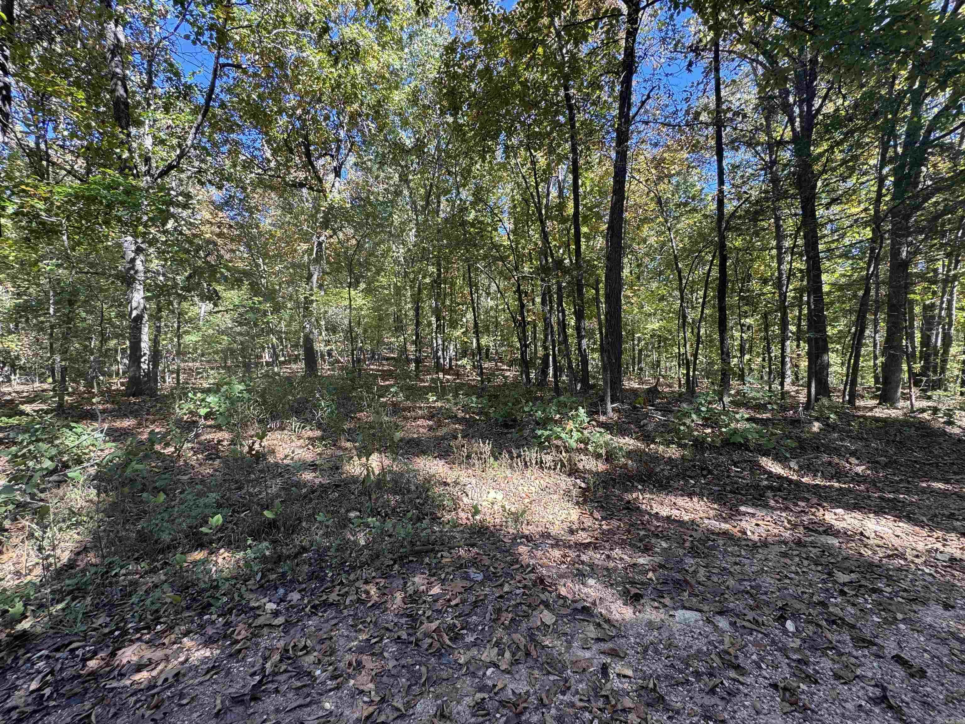 Beautiful All-Wooded Recreational Property Near Hardy, Arkansas Nestled just 5½ miles from downtown Hardy, this exceptional recreational property offers the perfect blend of seclusion and convenience. The land is all wooded with mature oak timber and includes a level area ideal for building a cabin or weekend getaway. Enjoy easy access to the Spring River for floating and fishing, and you’re only 9 miles from Harold E. Alexander Wildlife Management Area for outstanding deer and turkey hunting opportunities. Whether you’re looking for a private retreat, hunting spot, or future homesite, this property offers endless outdoor potential in the heart of Sharp County.
