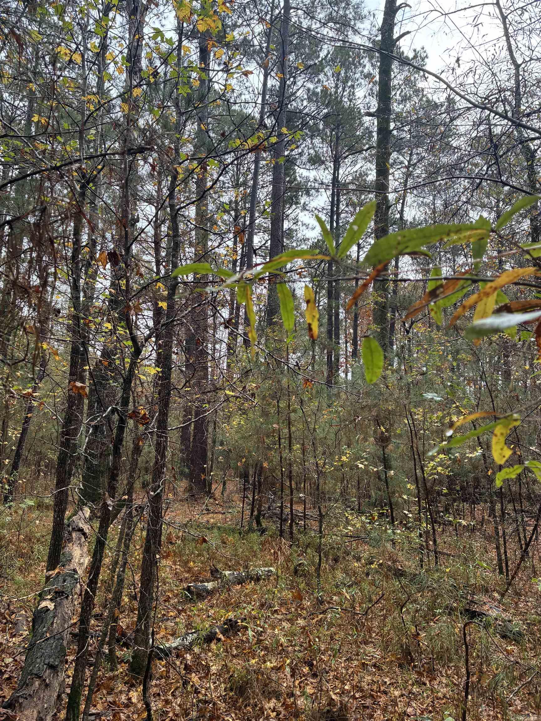 Beautiful 36+/- acres located in the desirable Harmony Grove area, nestled near Charlotte Ann St. & Joan St. This spacious tract offers the perfect setting for new home construction, combining privacy with convenience. All utilities are close by & available to connect, making future development easy & cost-effective. Enjoy the peaceful, country feel while still being just minutes from town. Whether you're looking to build your dream home or invest in land with excellent potential, this property offers endless possibilities. Square footage, lot size, and acreage is taken from courthouse records.