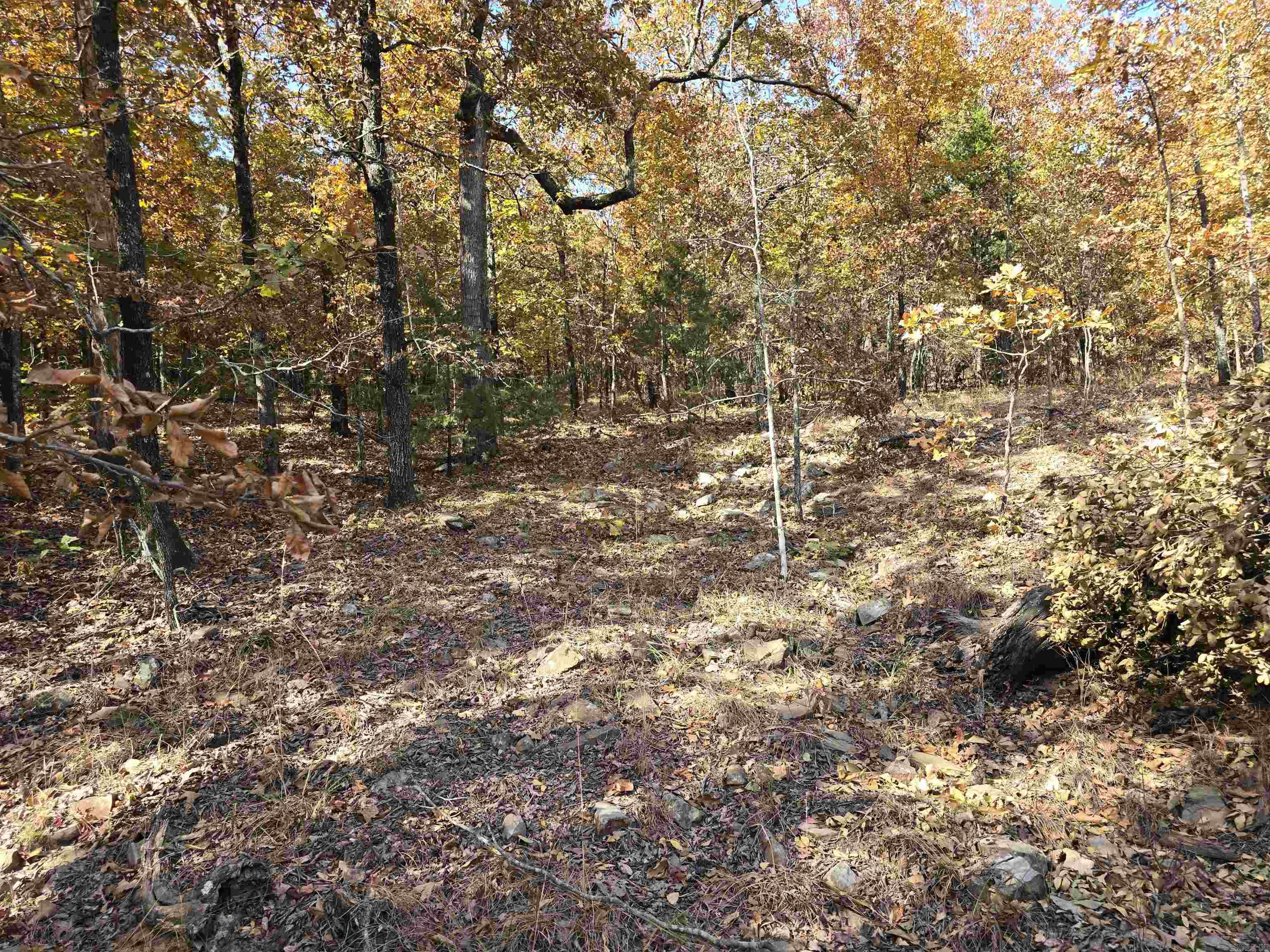Saltillo Heights - Land