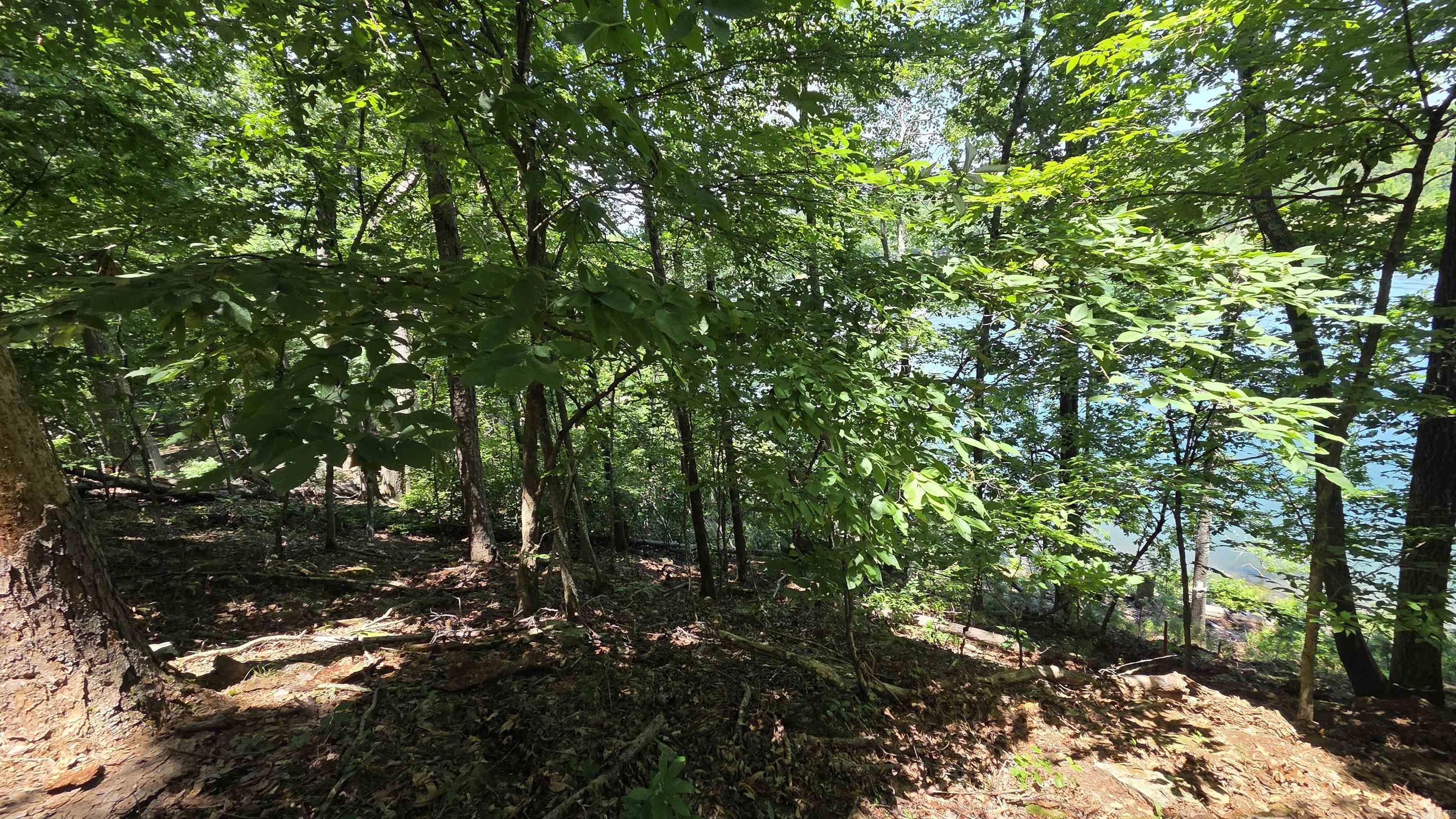 Hamilton Point Estates - Land