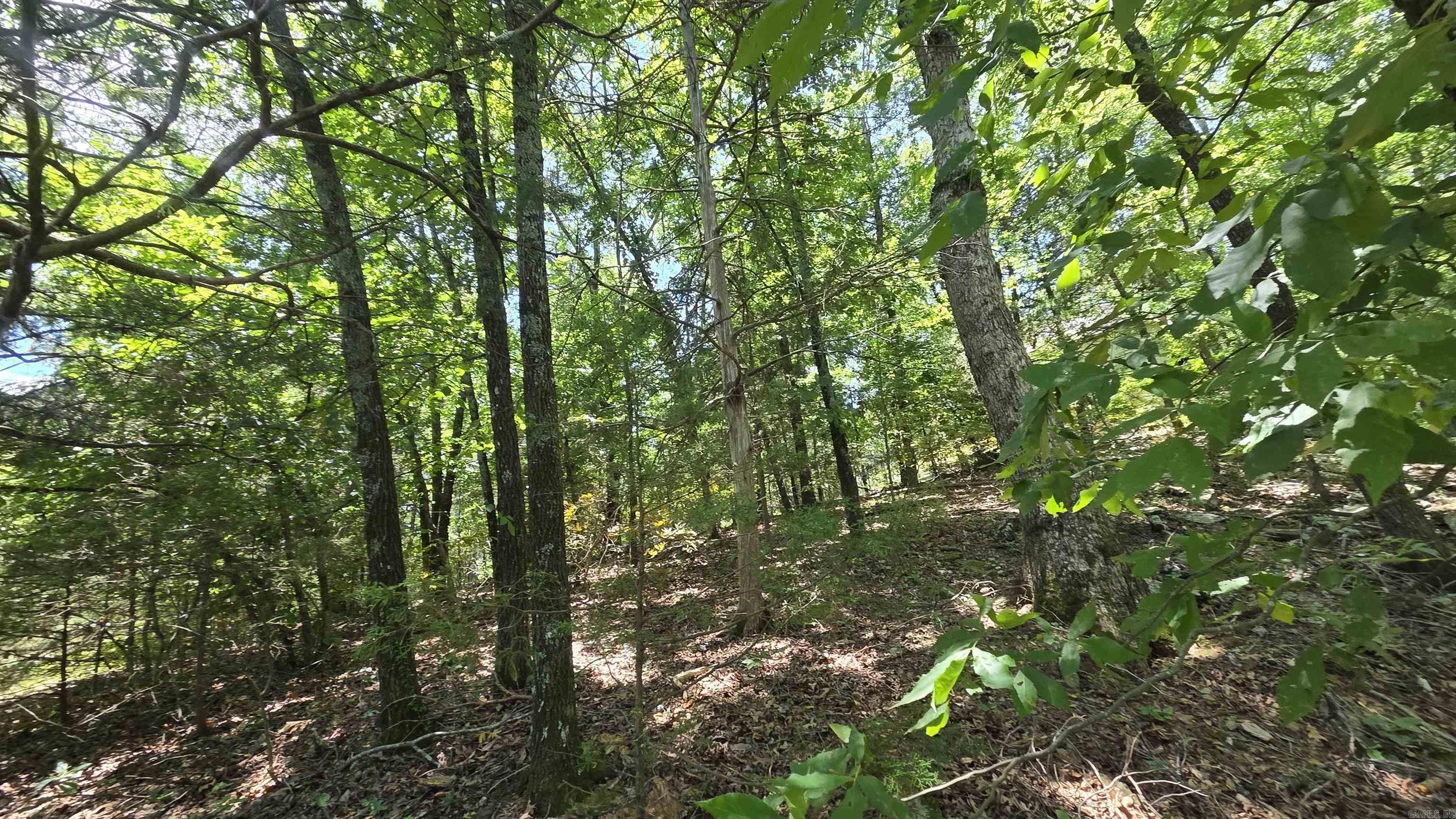 Hamilton Point Estates - Land