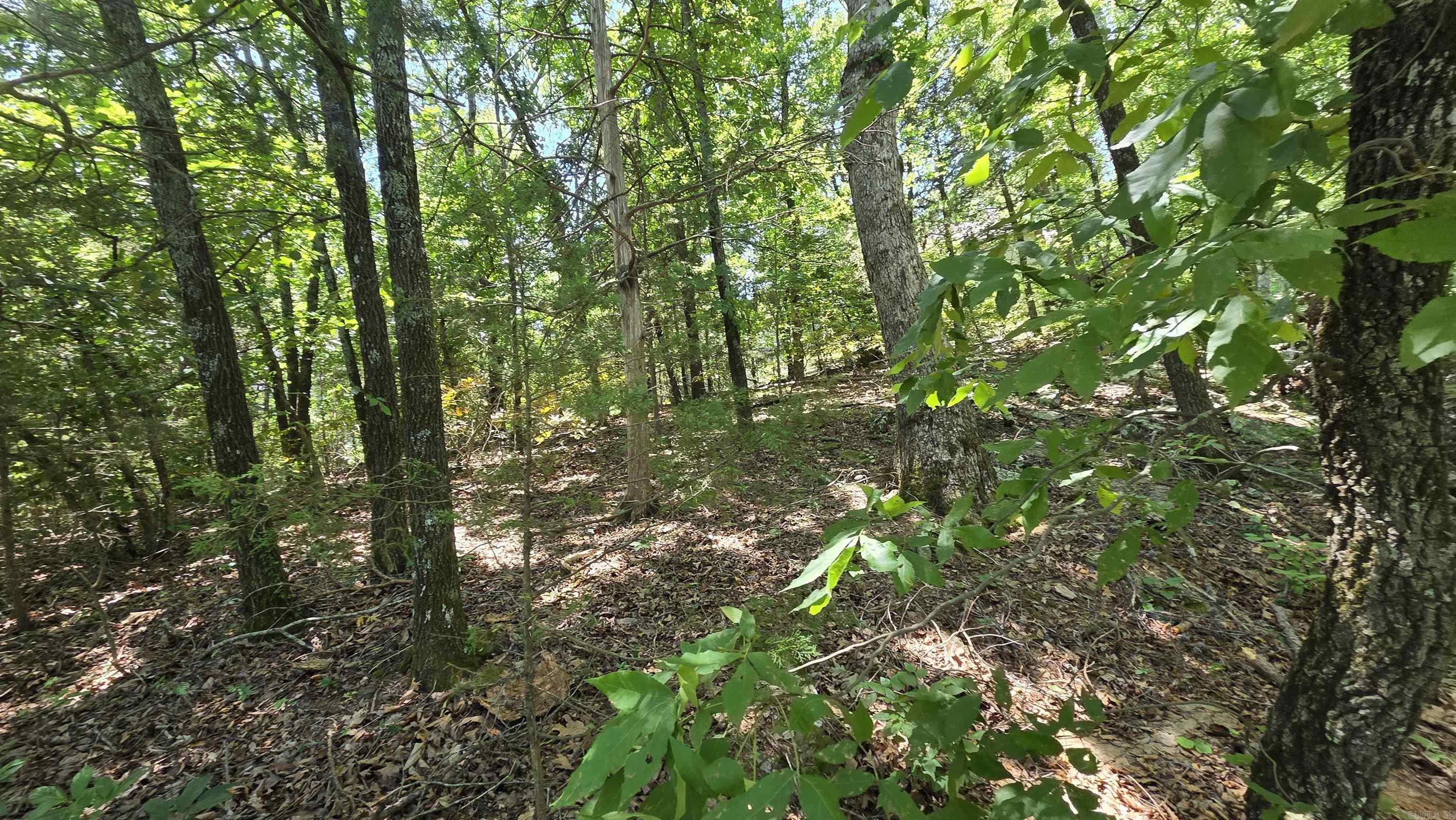 Hamilton Point Estates - Land