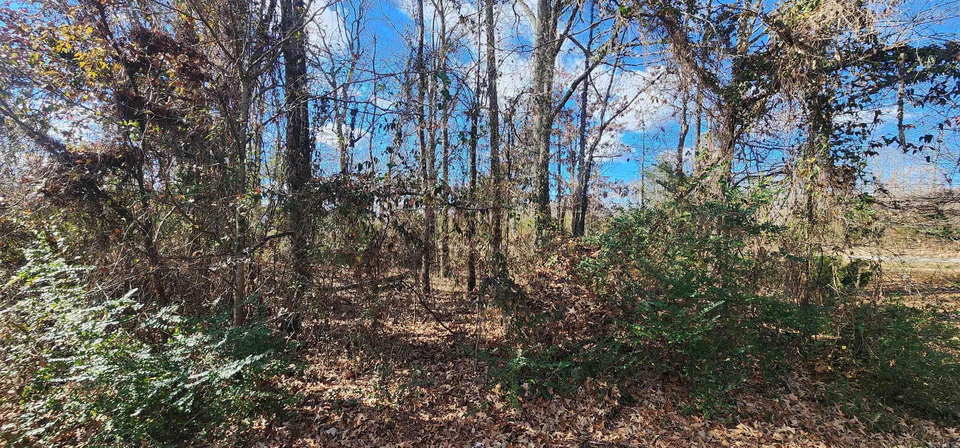 This spacious 0.27 acre residential lot is nestled at the end of a cul-de-sac in Cabot, providing a peaceful setting for your new home. Enjoy the convenience of local amenities. This lot offers the perfect canvas for your custom build, so don't miss out on this chance to create the home you've always envisioned!