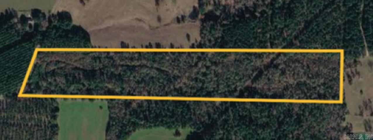 Nestled between Doddridge and Brightstar AR, this 28± acre property offers countless possibilities. Whether you’re searching for a recreational getaway, an investment opportunity, or the perfect place to build your dream home, this versatile tract is ready to bring your vision to life. Enjoy the peace and privacy of rural Southwest Arkansas while still being conveniently located between two communities. With ample room to explore, hunt, build, or simply enjoy nature, this property is a rare opportunity with unlimited potential.  High speed internet available.  ***More pics coming soon.