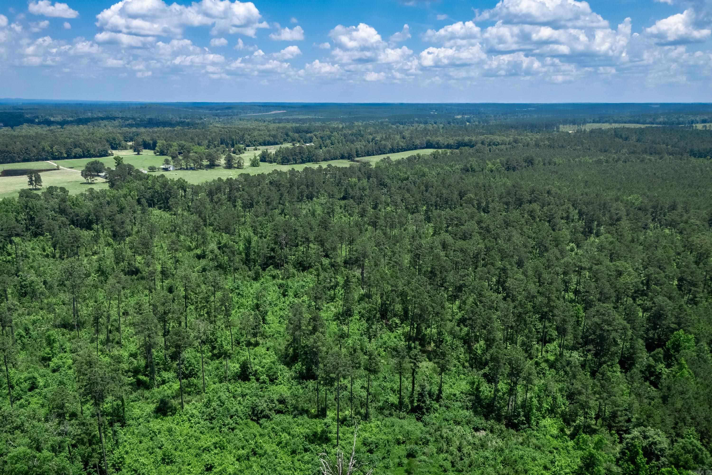 Discover the possibilities with this 40-acre tract in Hot Spring County! Recently harvested timberland offers a blank canvas for your dream home, recreational retreat, hunting property, or future investment. Surrounded by the natural beauty of Arkansas timber country, the property features a mix of regenerating pine and hardwood growth, creating excellent wildlife habitat and long-term potential.  A beautiful homesite is already evident among the gently rolling terrain, providing the perfect setting for a private country residence with plenty of room to roam. Utilities are available nearby, making future development more convenient while still allowing you to enjoy the privacy and seclusion of a rural setting.  Whether you're looking to build, invest, hunt, or simply escape the hustle and bustle, this 40-acre tract offers endless opportunities. With road access, abundant wildlife, and ample space for trails, food plots, or future timber production, this property is ready for its next chapter.  Don't miss your chance to own a sizable piece of Hot Spring County land with tremendous potential and plenty of room to make it your own.