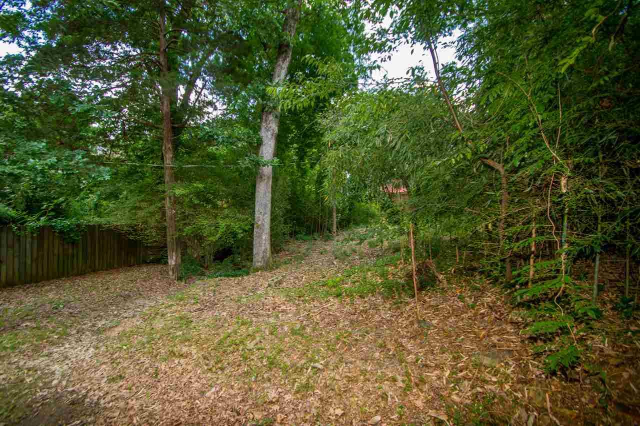 Pulaski Heights - Residential