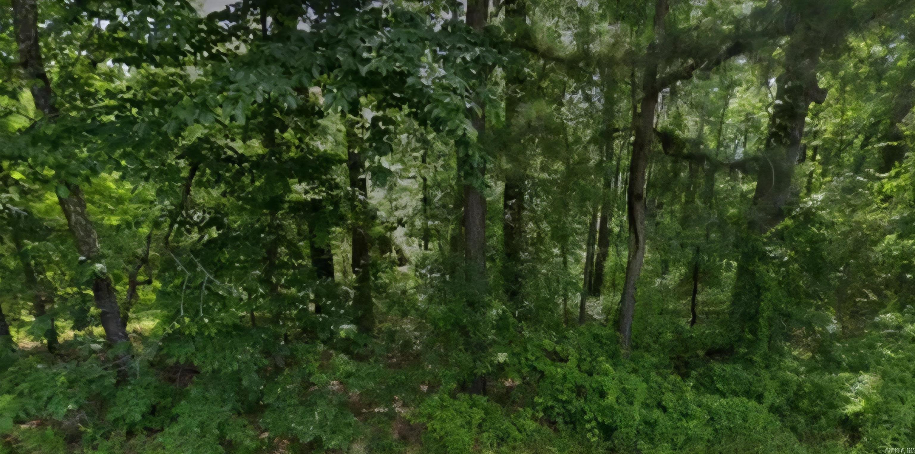 Build a new home or place a small, manufactured home on this .14 (+/-) acre lot in Pine Bluff. It is only minutes from local amenities and just a short drive to Lake Saracen and the resort. Call or text for more information.