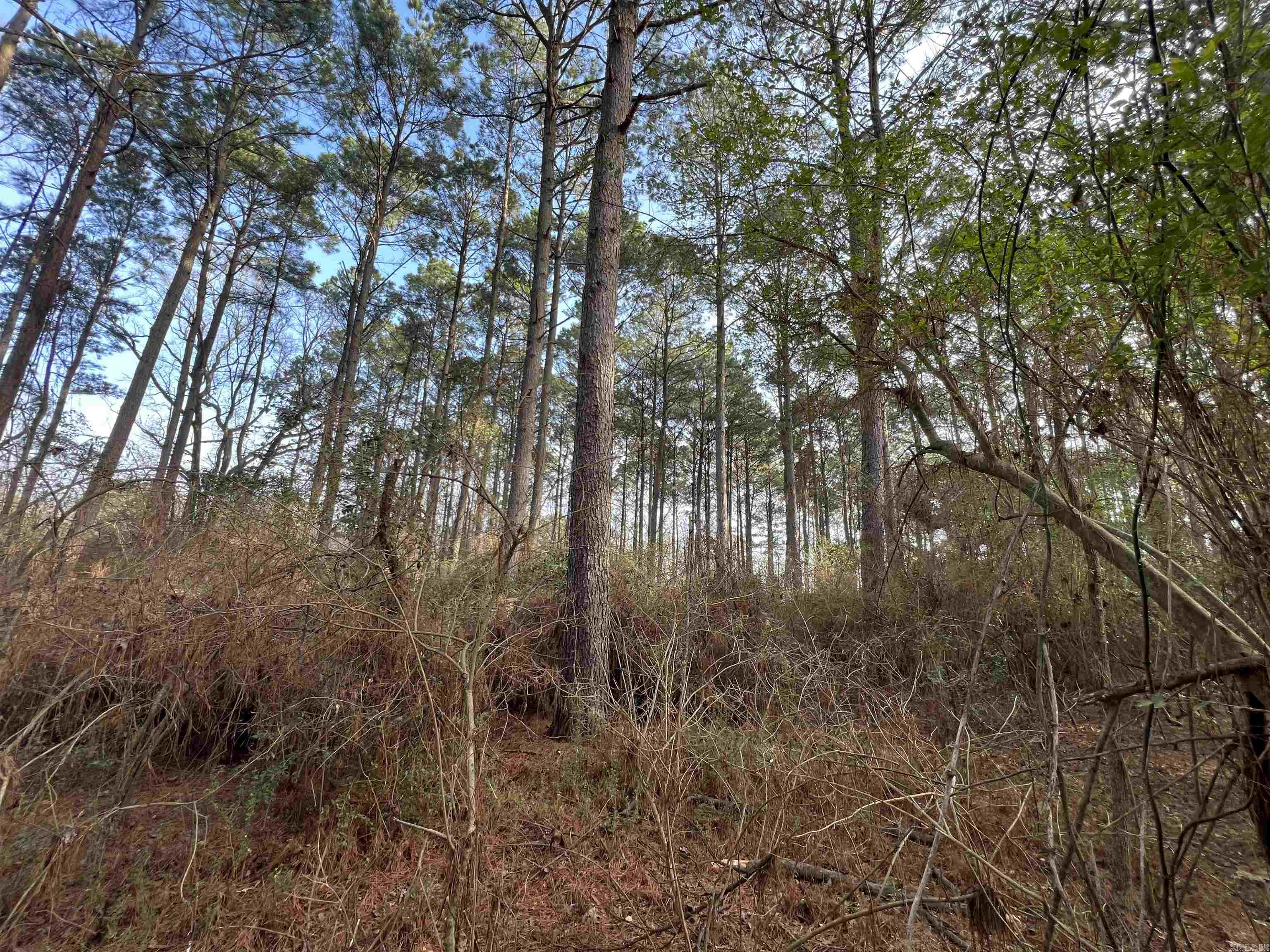 Price Reduced! Seize this rare opportunity to own 6.95+/- wooded acres in a high-demand location on W University St in Magnolia, AR—just minutes from Southern Arkansas University (SAU). With paved road access and a prime location near the University, this property may be ideal for student housing, townhomes, or apartment development to meet the growing need for quality housing in the area. With Magnolia’s economy booming—especially with the newly launched lithium extraction from the Smackover Formation—this site offers an incredible investment opportunity for developers, landlords, and those looking to capitalize on the city's expansion. Whether you’re looking to cater to SAU students, faculty, or professionals moving to the area, this land presents endless possibilities, and at only $187,500! The property’s wooded landscape provides privacy and natural beauty while still being conveniently located near shopping, dining, and campus amenities. All utilities are nearby, making development seamless. Don’t miss out on this strategic investment in Magnolia’s fast-growing market! Mineral rights do not convey.