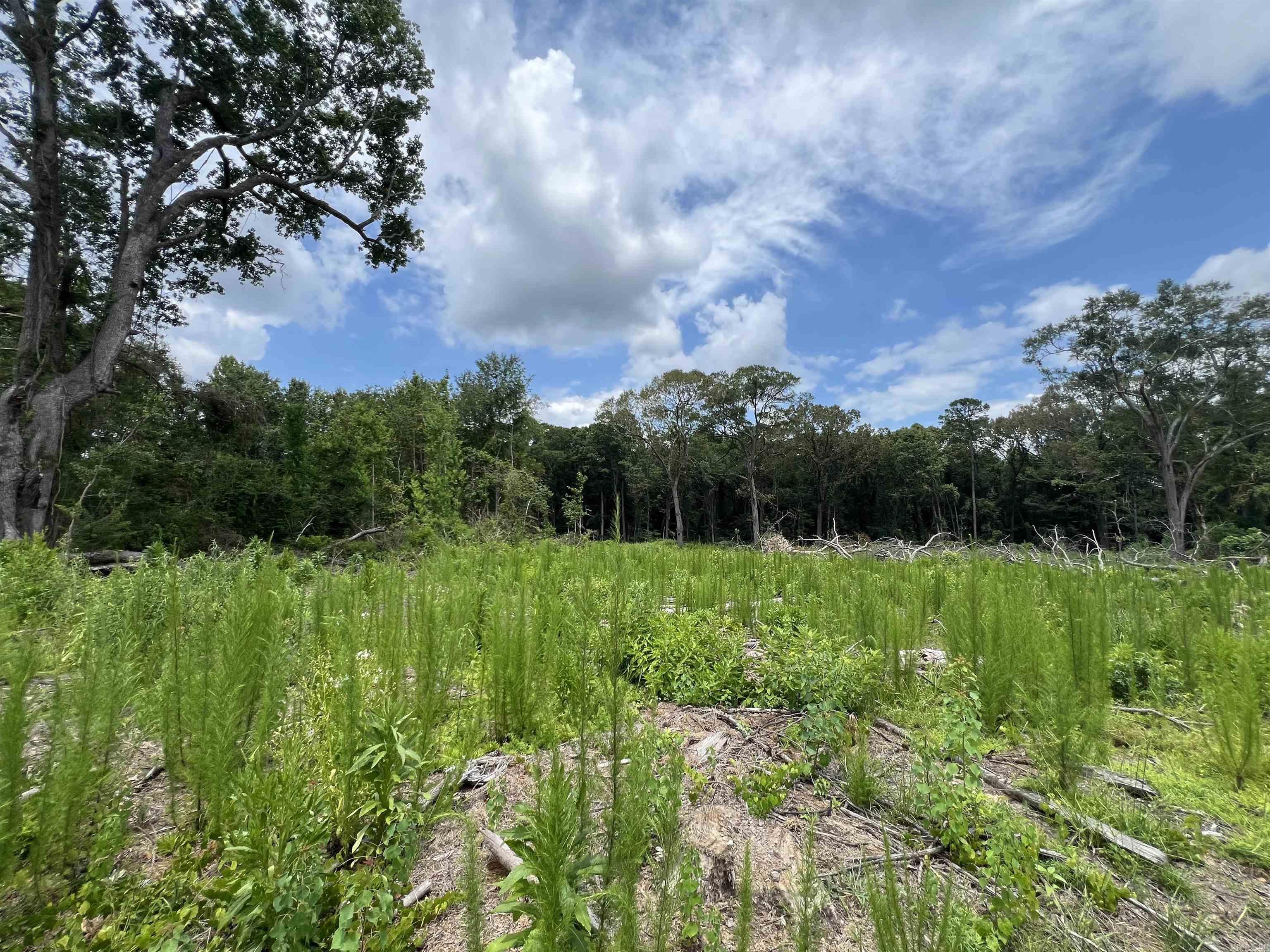 Price Reduced! Seize this rare opportunity to own 6.95+/- cleared acres in a high-demand location on W University St in Magnolia, AR—just minutes from Southern Arkansas University (SAU). With paved road access and a prime location near the University, this property may be ideal for student housing, townhomes, or apartment development to meet the growing need for quality housing in the area. With Magnolia’s economy booming—especially with the newly launched lithium extraction from the Smackover Formation—this site offers an incredible investment opportunity for developers, landlords, and those looking to capitalize on the city's expansion. Whether you’re looking to cater to SAU students, faculty, or professionals moving to the area, this land presents endless possibilities, and at only $167,500! The property is conveniently located near shopping, dining, and campus amenities. All utilities are nearby, making development seamless. Don’t miss out on this strategic investment in Magnolia’s fast-growing market! Mineral rights do not convey.
