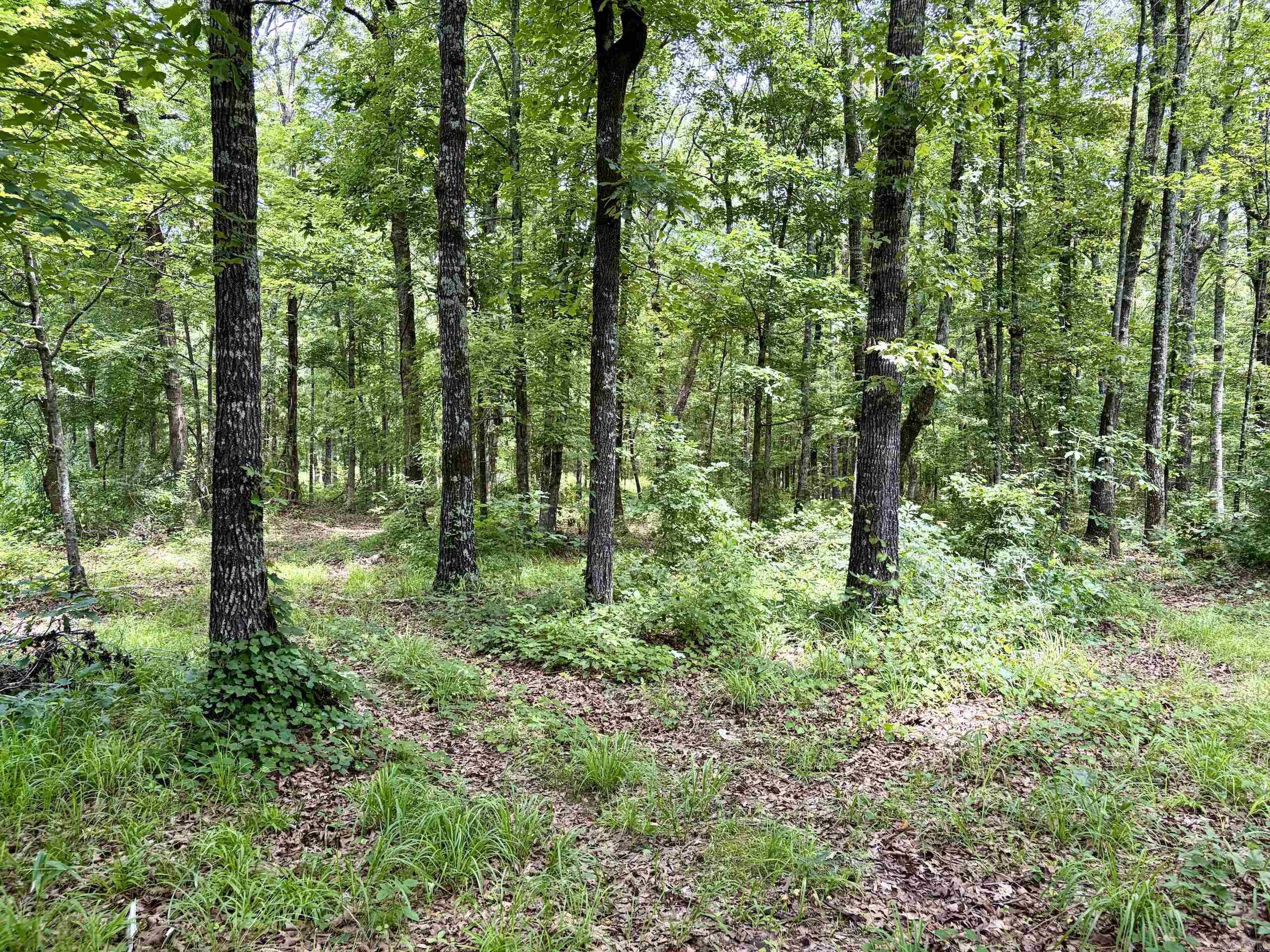 Not in Subdivision - Land