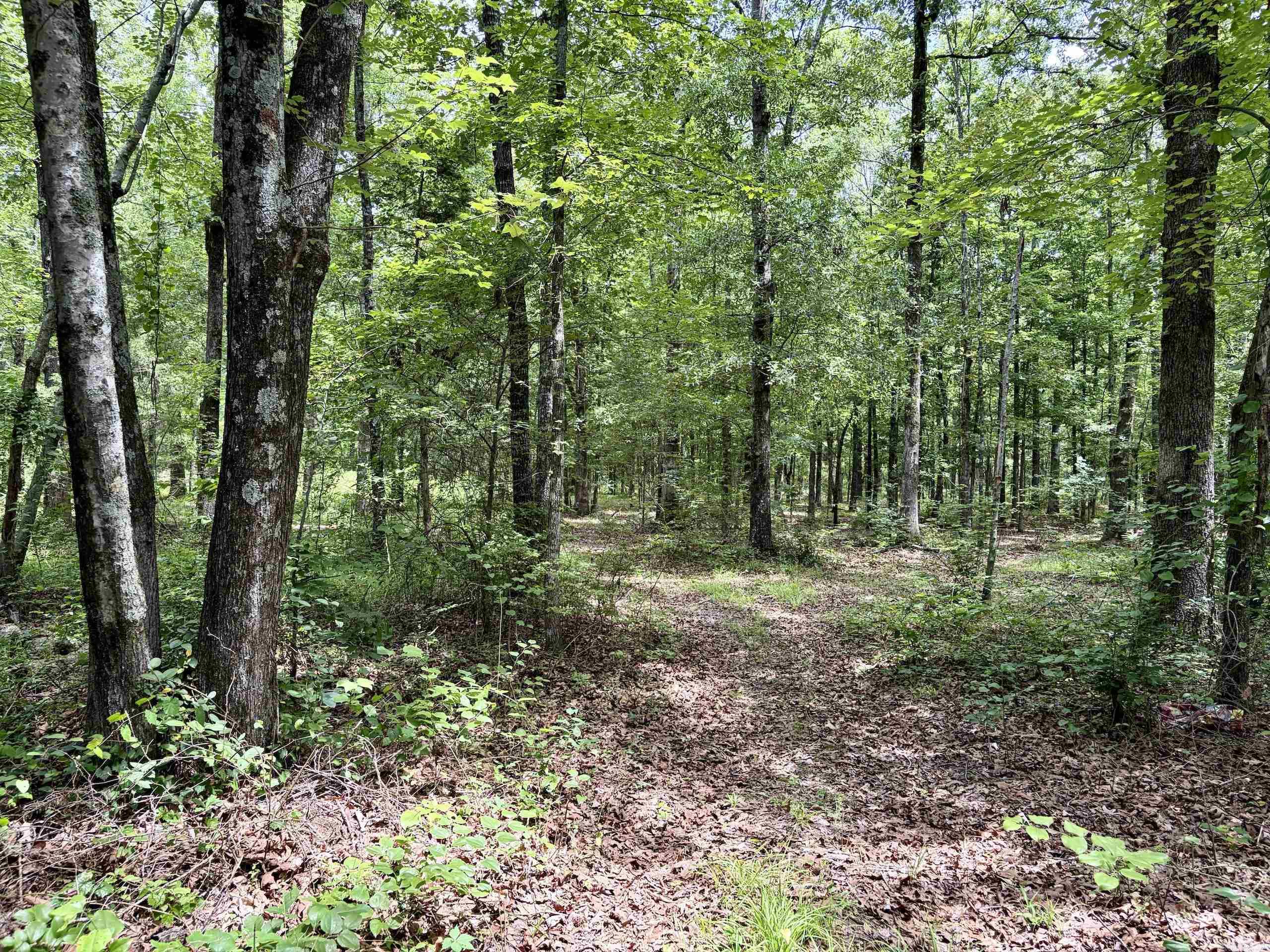 Not in Subdivision - Land