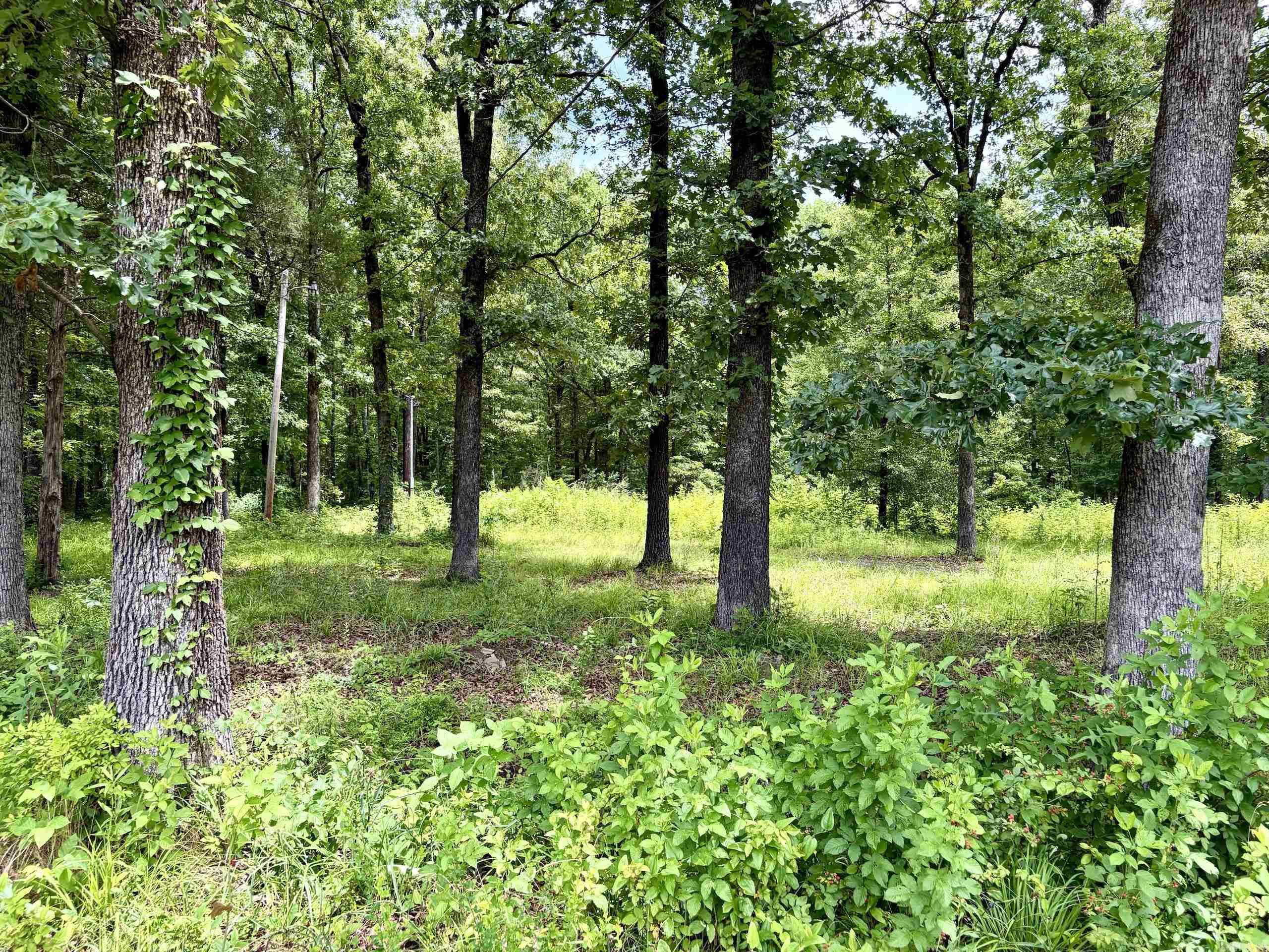 Not in Subdivision - Land