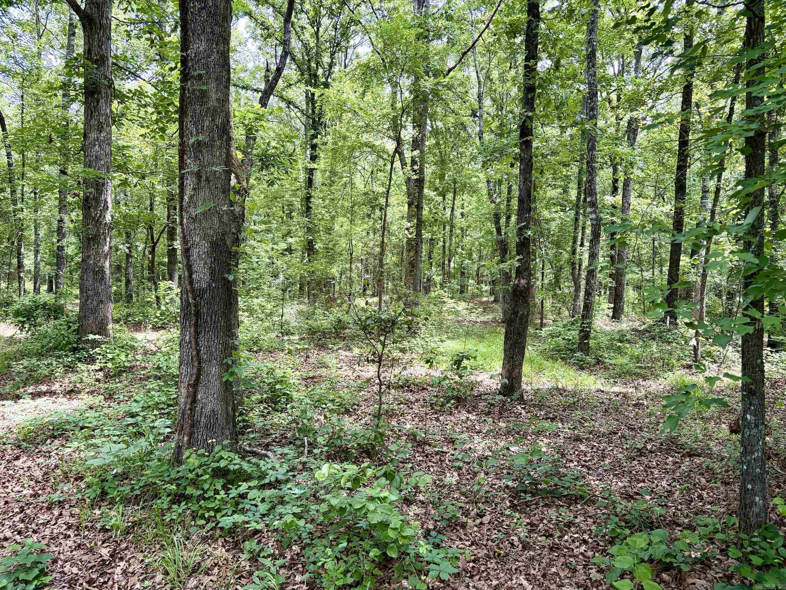 Not in Subdivision - Land