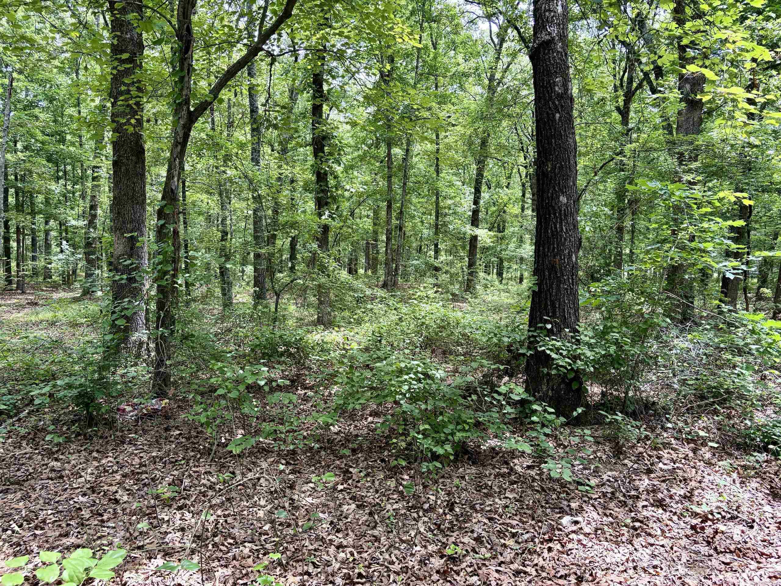 Not in Subdivision - Land