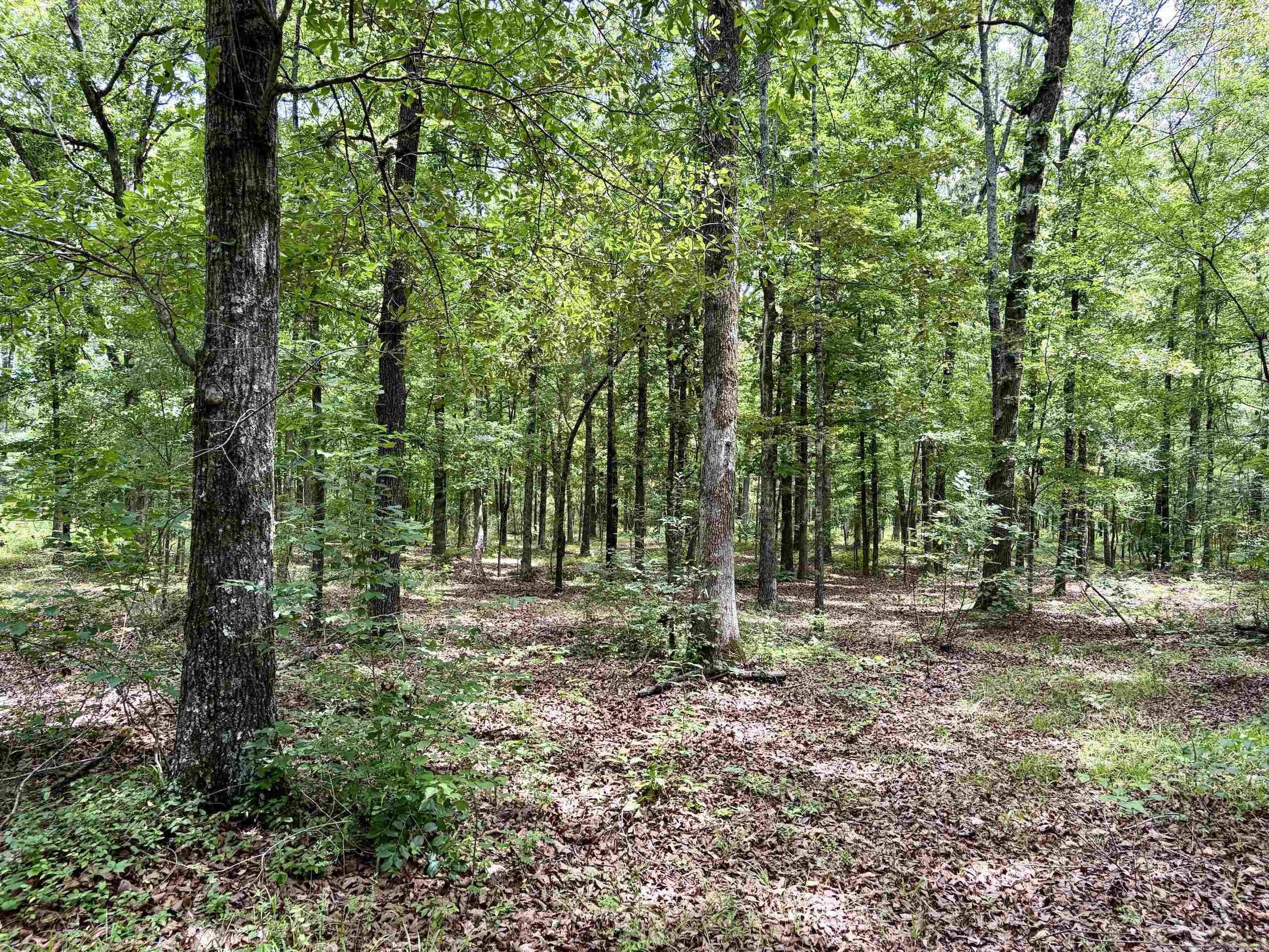 Not in Subdivision - Land