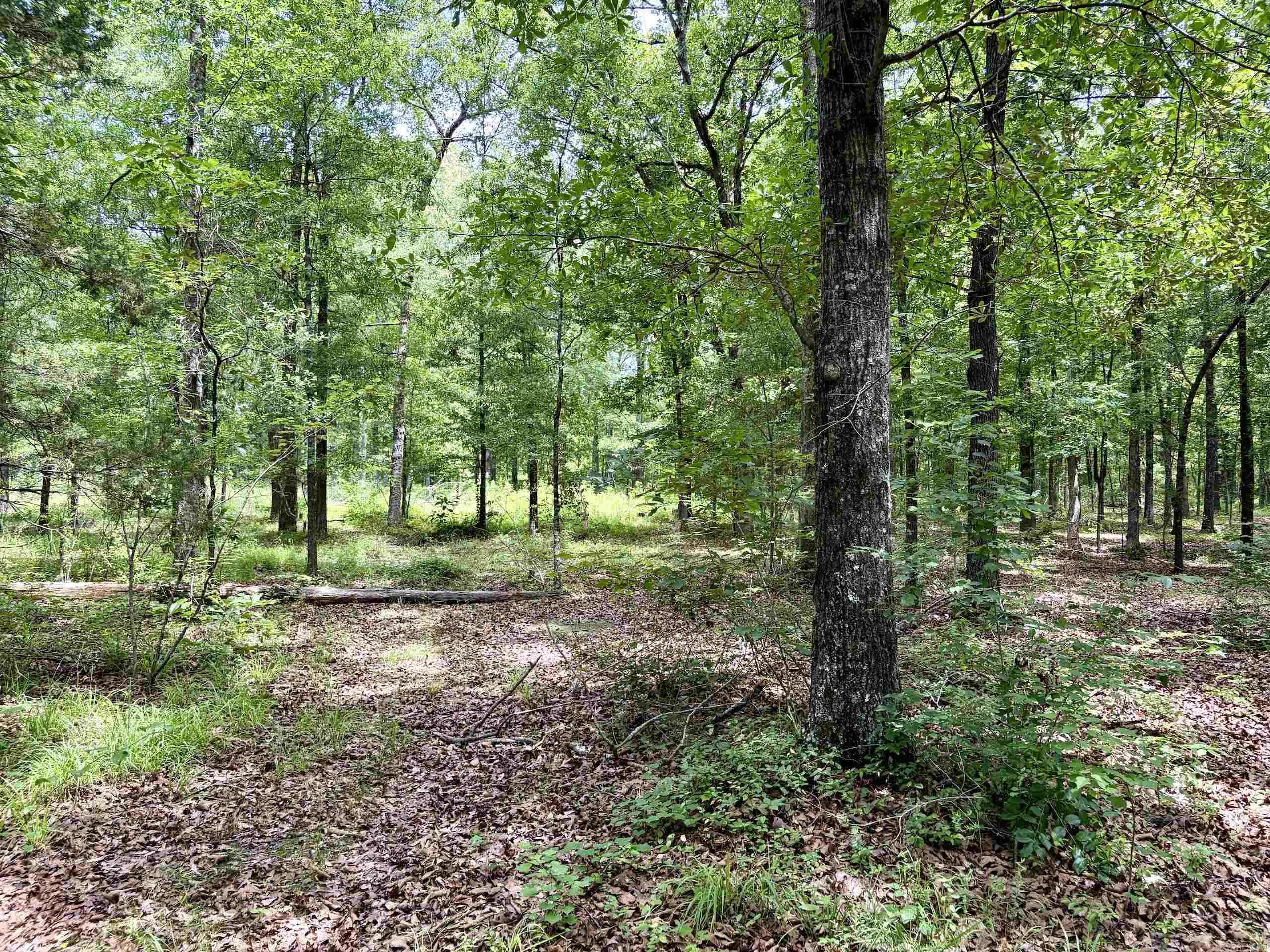 Not in Subdivision - Land