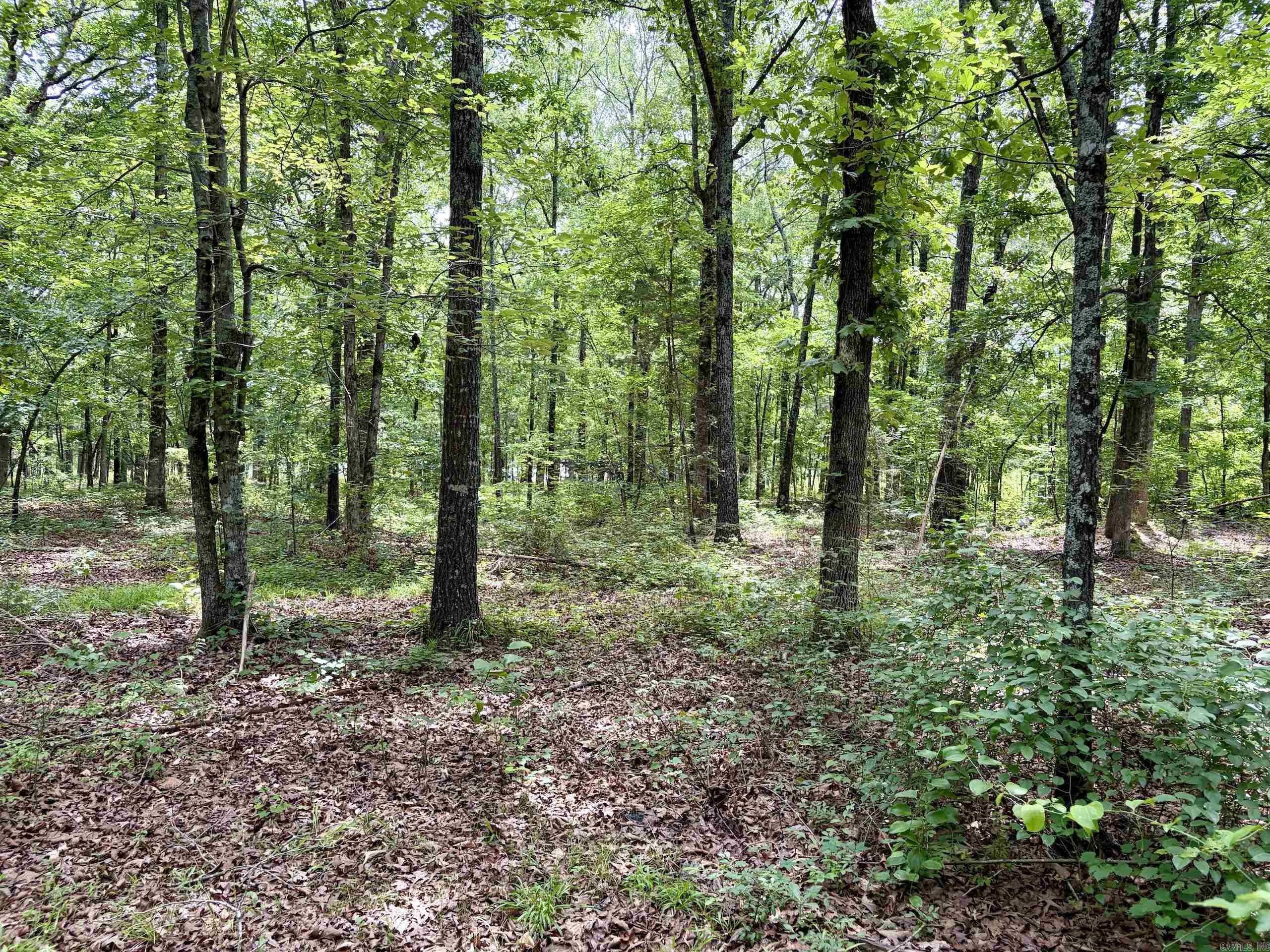 Not in Subdivision - Land