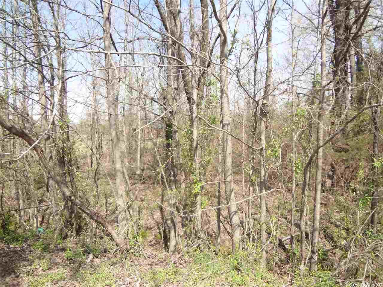 The last Lot left in Saddle Brook Estates. 1.39 acre lot.  Peaceful country living just a short drive from town.  This lot is level, mostly wooded, and has been pre-perked.  Nice subdivision with lots of space between everyone.  Cabot School District, Grand Prairie North Water, and First Electric Co-op.  Minimum required square footage for the subdivision is 1,300 sqft. Buyer can bring their own builder. Bill of Assurance and plat available to review.