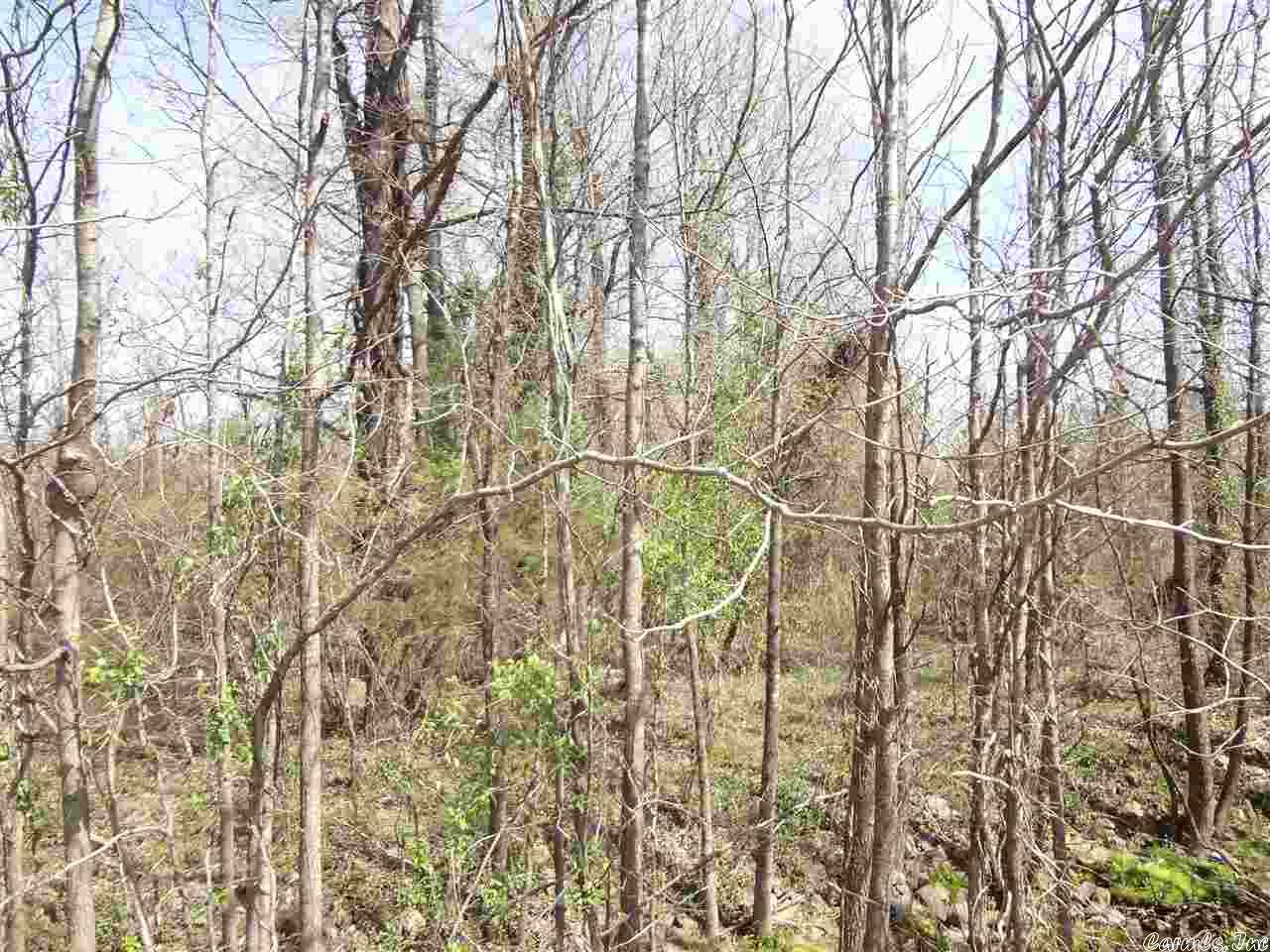 Saddle Brook Estates - Land
