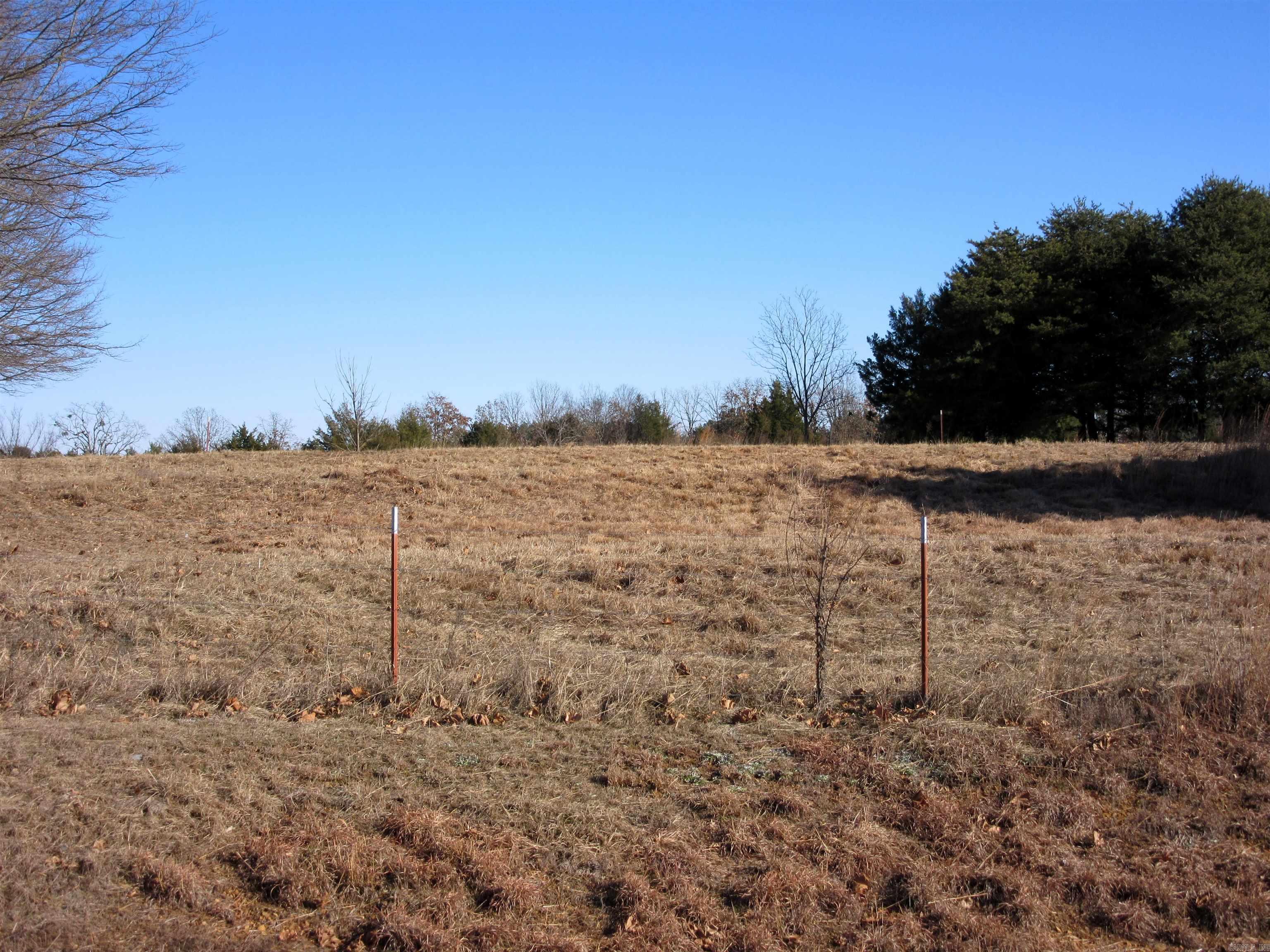 highway 25 frontage in down town Guy Arkansas.  Great location for a subdivision with high traffic count to the Lake or commercial location.  City water and natural gas available.  No minerals convey