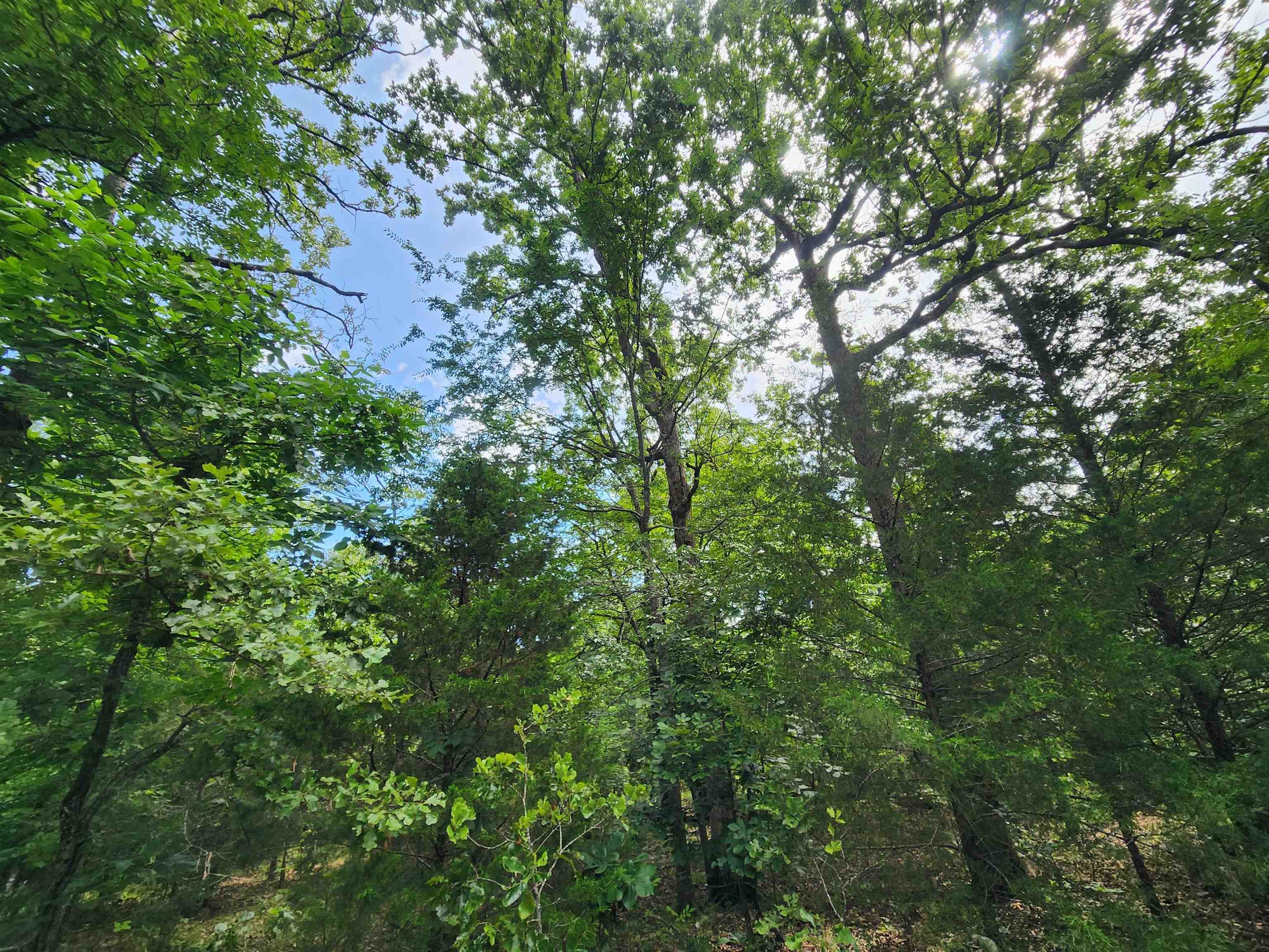 SANONA - Land