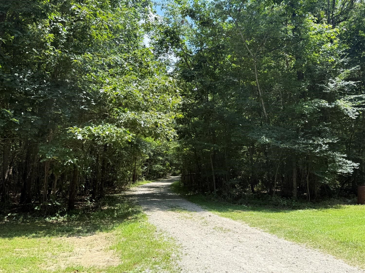 Perfect location for peace, relaxation, and privacy! Head down the driveway, lined by trees on both sides, to get to this 2 bedroom home on approximately 30 acres! Lots of oppotunities with this place....live in it yourself, rent it out, keep it to stay in while you hunt the abundant wildlife, or have it as your get away when you need your stress to just melt away. Lots of upgrades in the last couple of years....the roof, some of the electricity, some siding, flooring, plus more! The appliances that stay (washer, dryer, refrigerator, microwave, range, and dishwasher) are also only a couple of years old. If you're ready to live in a place where you can sit on the porch, and hear only the sound of nature around you, this is definitely the place for you!