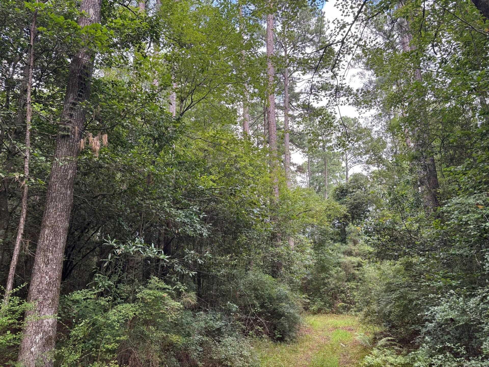 Ouachita - Land