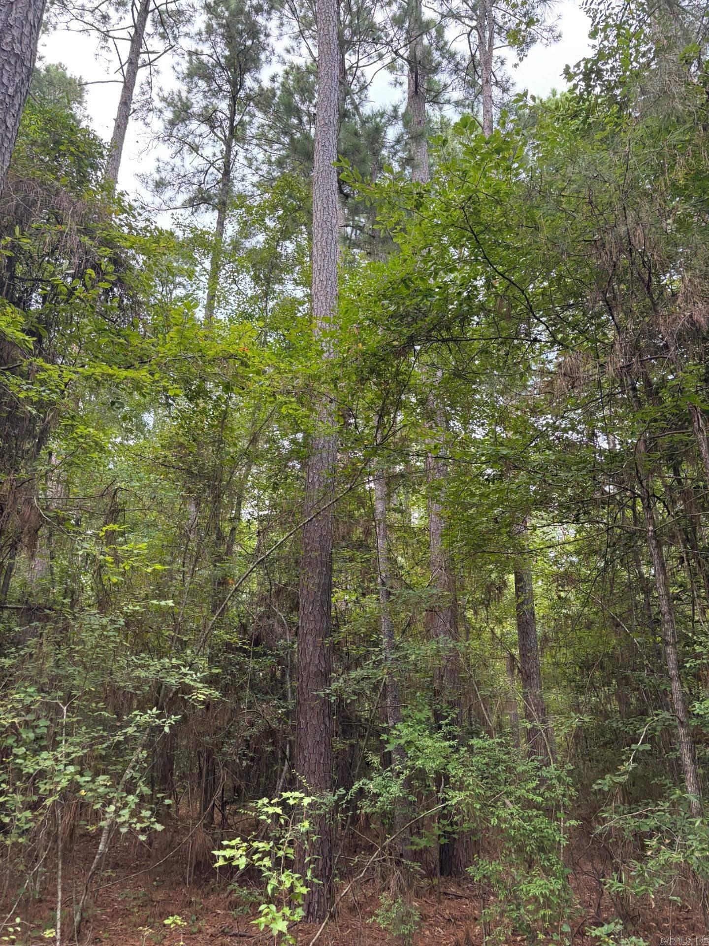 Ouachita - Land