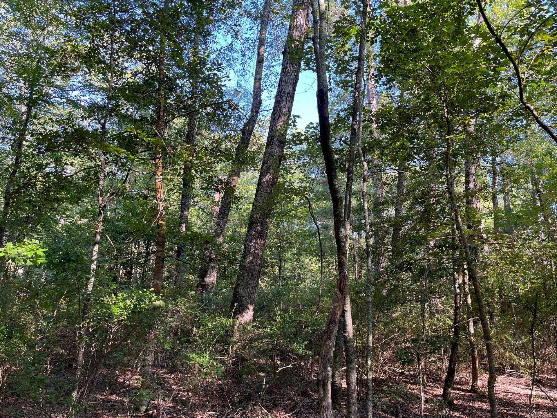 Ouachita - Land