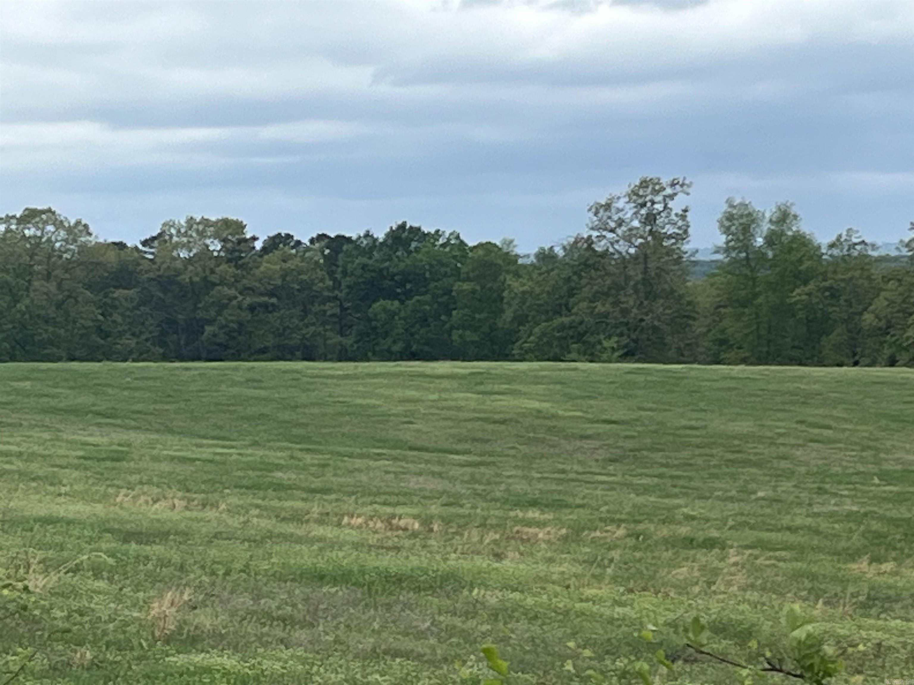 Discover the perfect blend of privacy and possibility with this beautiful 20-acre tract of vacant land. Whether you’re dreaming of building your forever home, creating a weekend getaway, or investing in land with long-term potential, this property offers endless opportunities. With plenty of space to spread out, the acreage provides a peaceful setting surrounded by natural beauty. Ideal for outdoor enthusiasts, there’s room for hunting, hiking, gardening, or simply enjoying wide-open skies and quiet country living. The property offers multiple potential building sites, giving you flexibility to design exactly what you envision. Conveniently located within a reasonable drive to town, you’ll enjoy the balance of seclusion and accessibility.  If you’ve been looking for land with space, freedom, and opportunity—this is it.