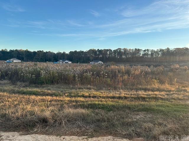 Ready to build your dream home?? Don't miss out on this 1.12 acre lot in Winchester Estates!! Bauxite School District!!
