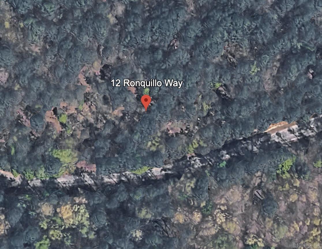 Build your dream home on this 0.31-acre lot located in the Murillo subdivision of Hot Springs Village. This residential vacant land offers a level building site with paved road frontage and access to nearby utilities, making it a great option for your next build. Enjoy convenient access to area amenities including golf courses, lakes, trails, and recreational facilities. Whether you're planning a primary residence, second home, or investment, this property offers a great opportunity in an established community.