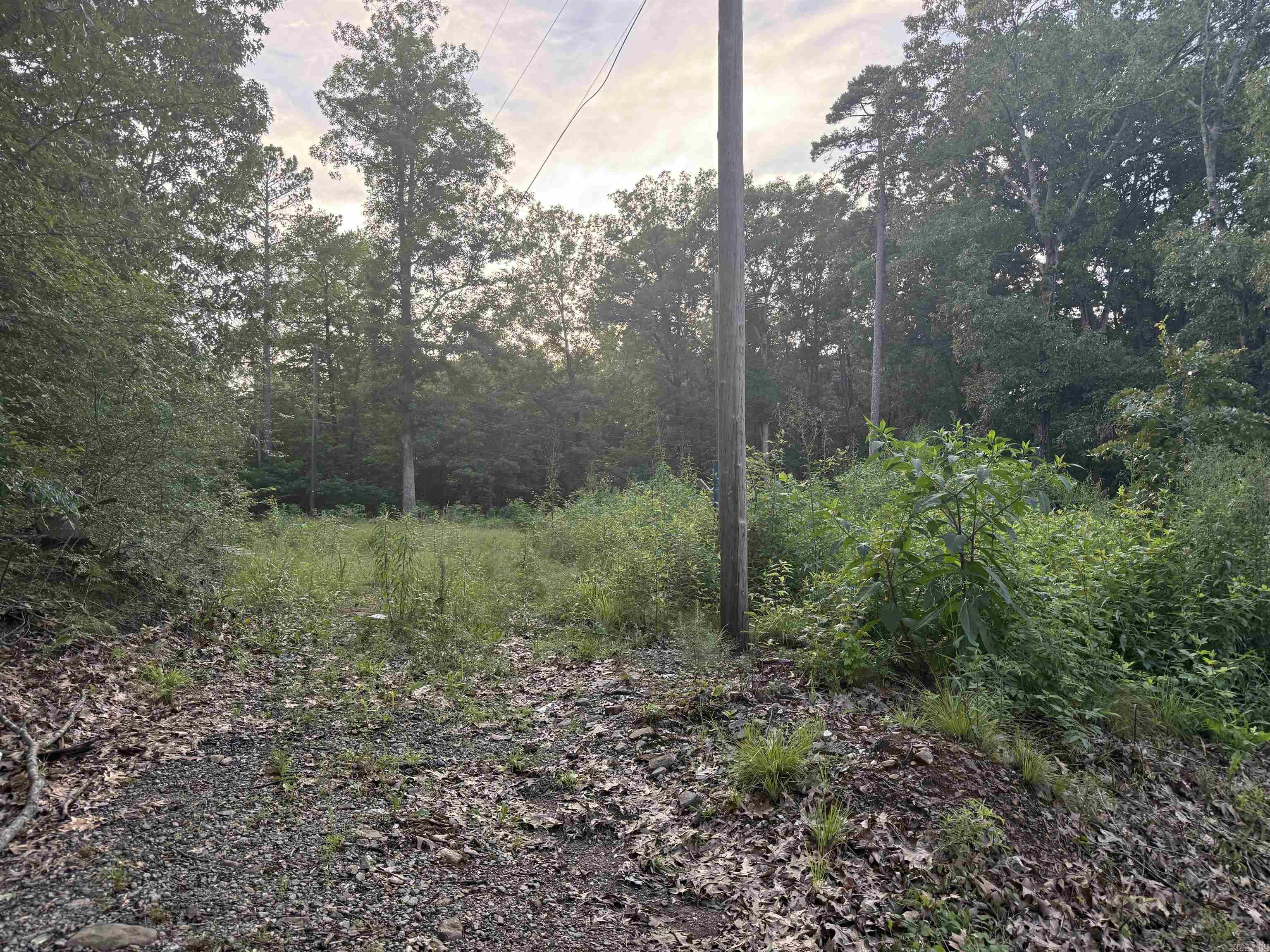 Builders and Investors Alert!!  Discover this perfect canvas for your next project. A spacious .27 acre residential lot offers a prime opportunity to built a custom home with a sizable backyard.  Situated near Baptist Hospital, I-430 and I-630.   Whether you looking to build a personal residence or high demand rental property, this lot provides the space and convenience needed for a successful build. Drive by and envision all of your possibilities today!!   Utilities are on site or near property include public water, public sewer, natural gas, and electric.   Note: lot is connected to 3922 Holt St (MLS 26021512)