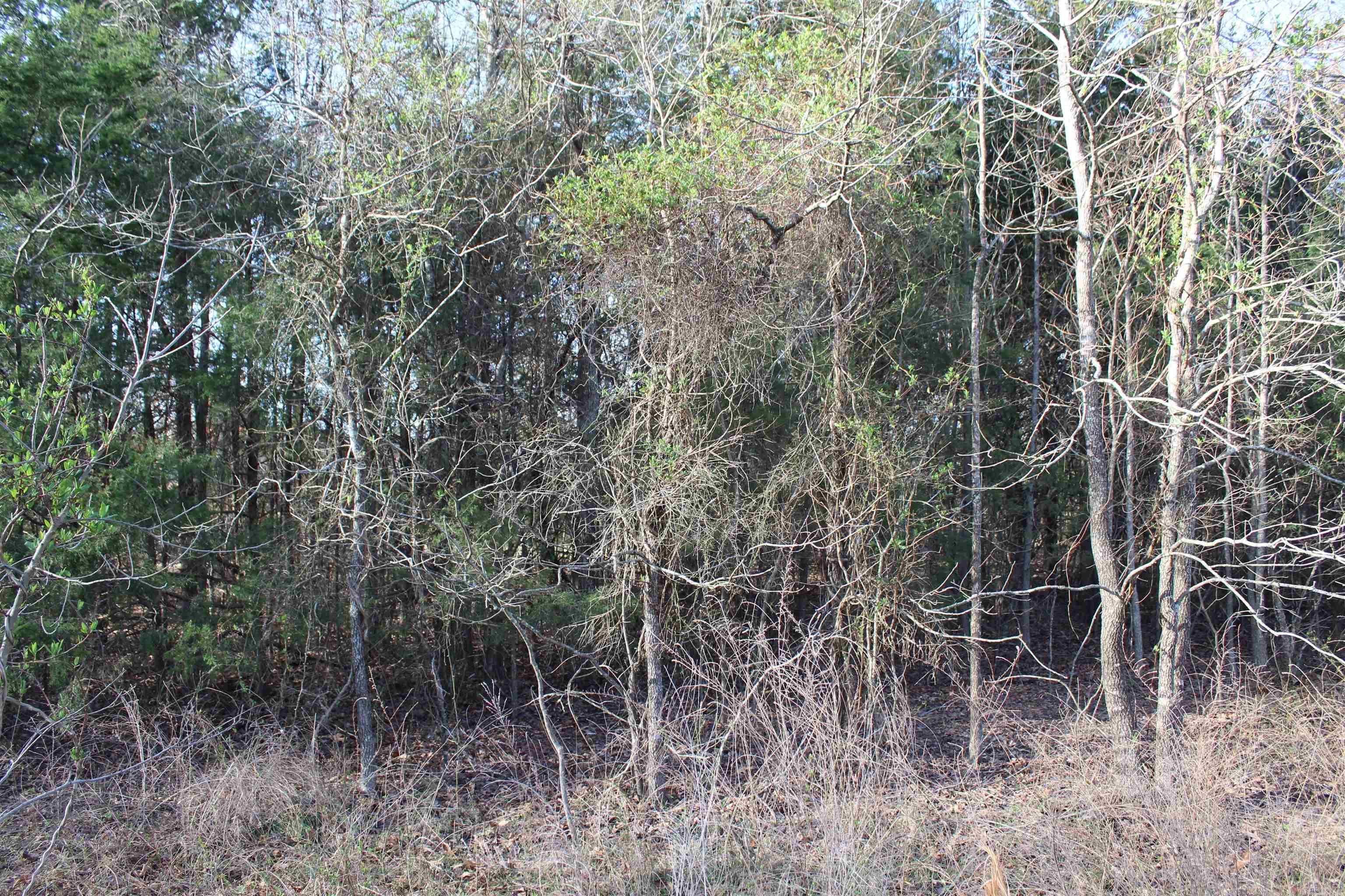 Deerfiled - Land